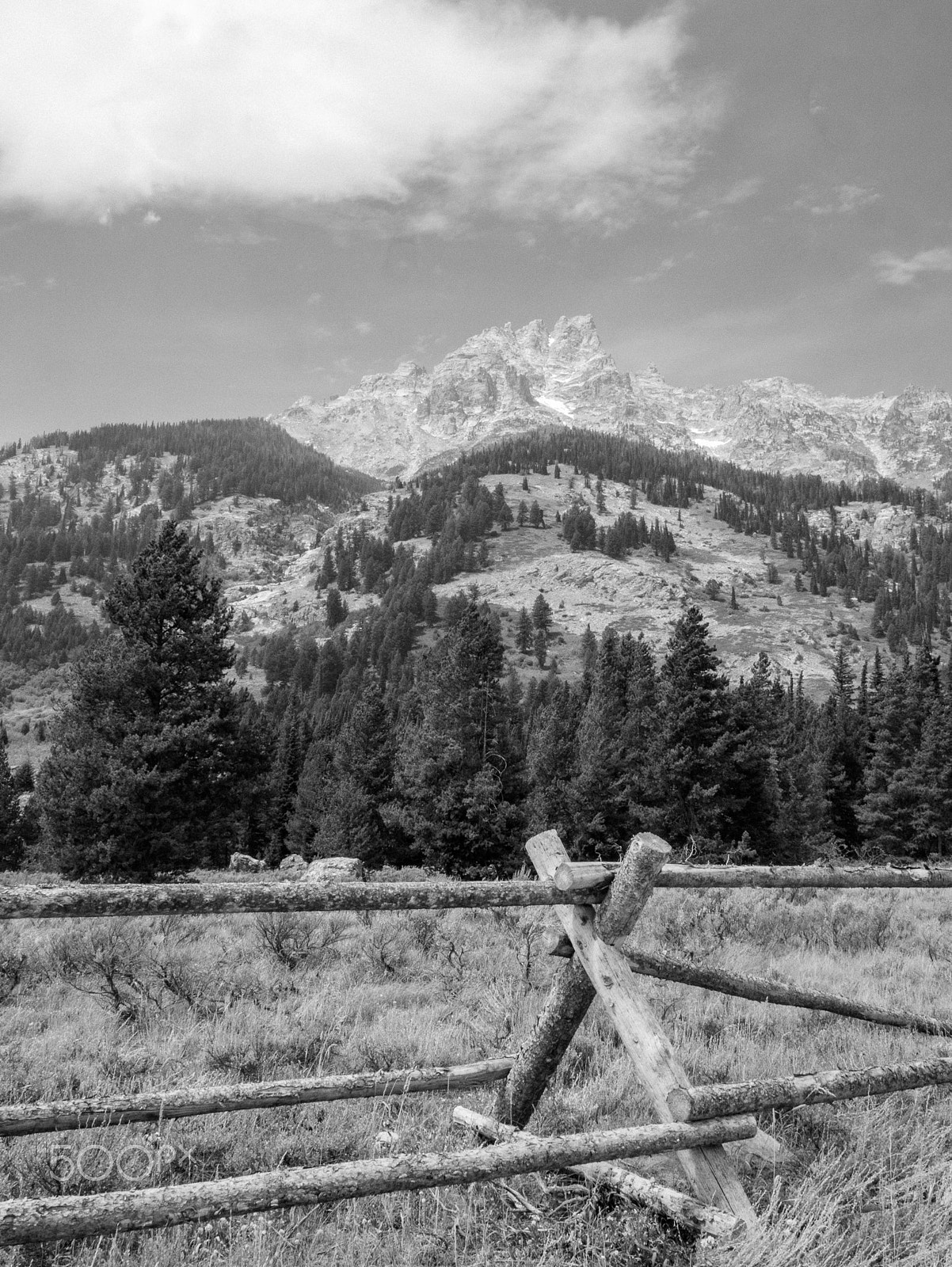Panasonic Lumix DMC-GX1 sample photo. Fence and trees, near grand teton national park photography