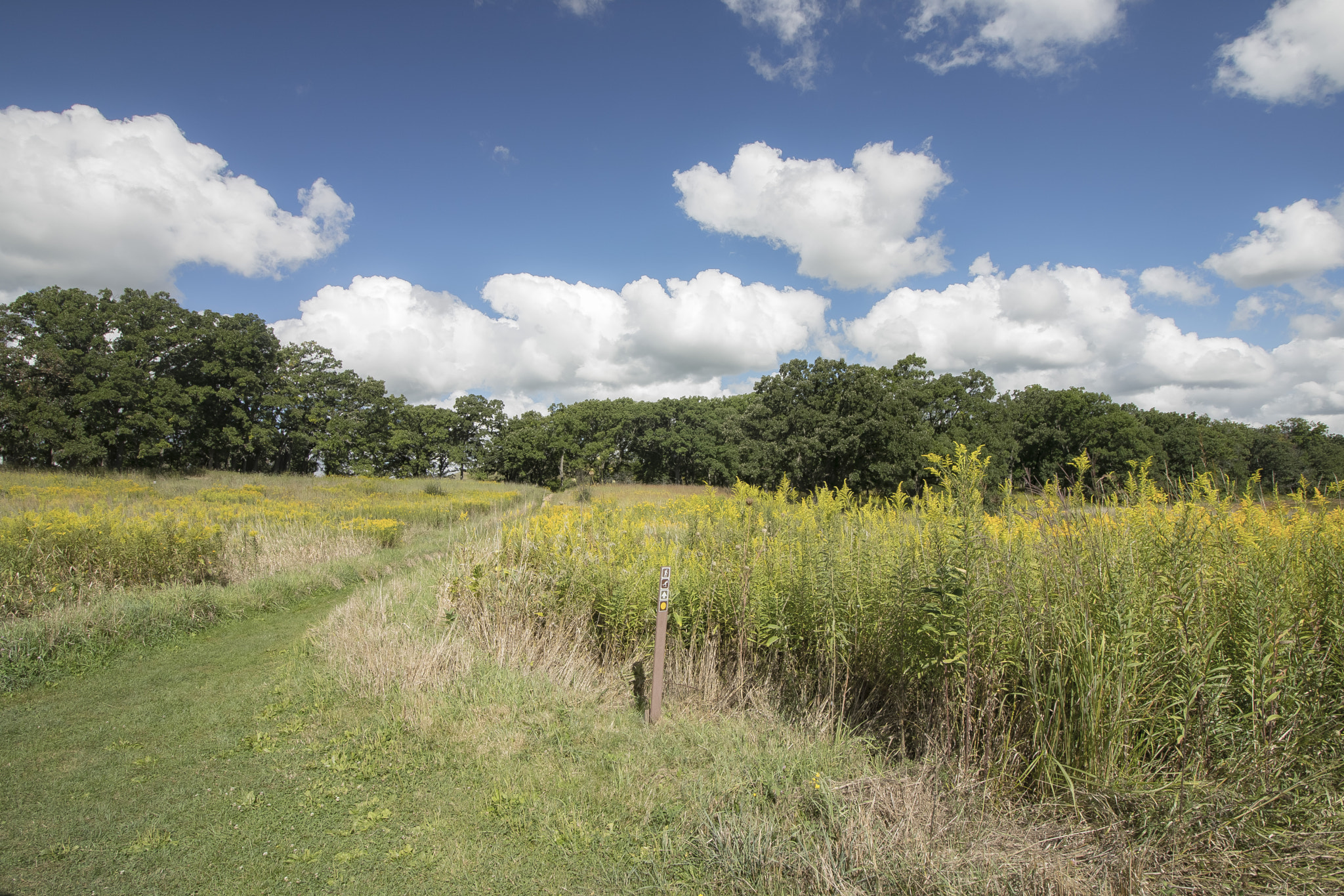 Canon EOS 760D (EOS Rebel T6s / EOS 8000D) sample photo. Glacial park in northern illinois usa photography