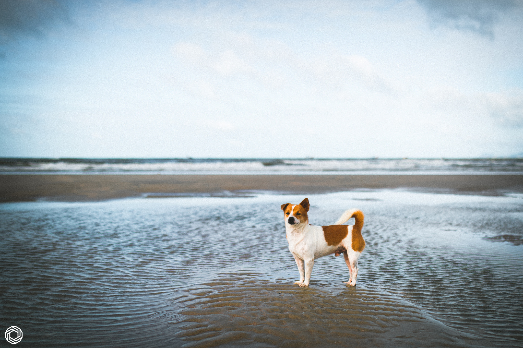 Nikon D3S + Sigma 35mm F1.4 DG HSM Art sample photo. Little mate photography