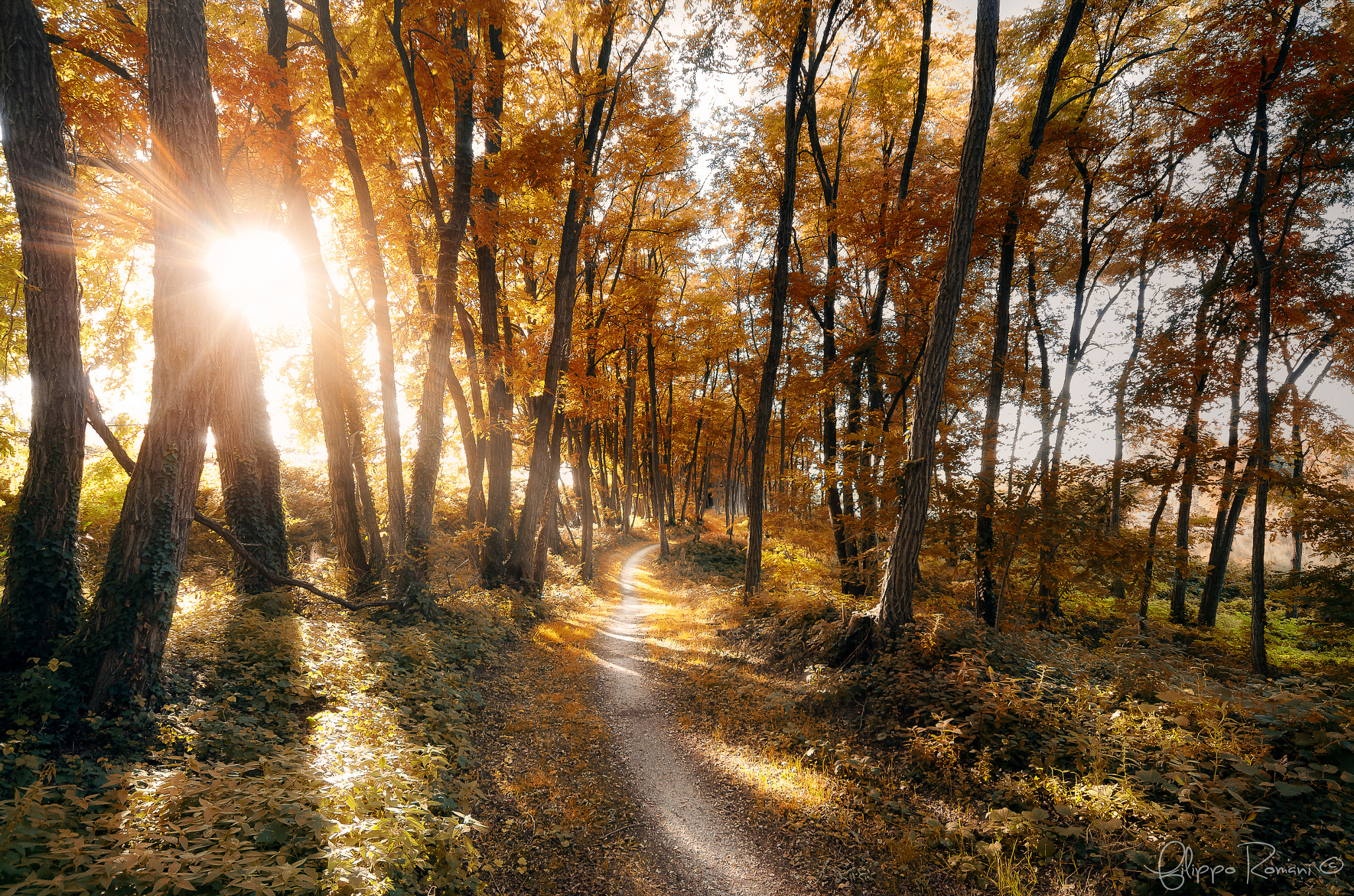 Sigma 12-24mm F4.5-5.6 EX DG Aspherical HSM sample photo. Early autumn photography