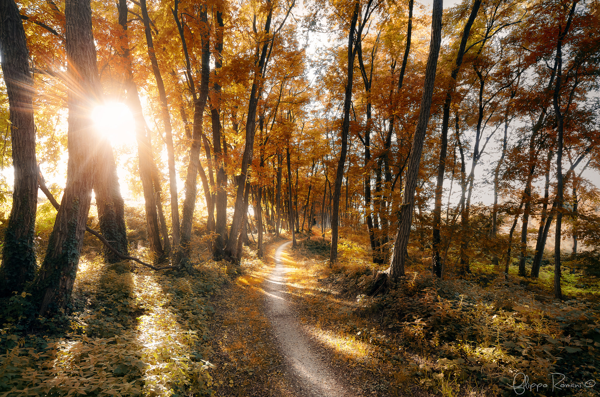 Nikon D7000 + Sigma 12-24mm F4.5-5.6 EX DG Aspherical HSM sample photo. Early autumn photography