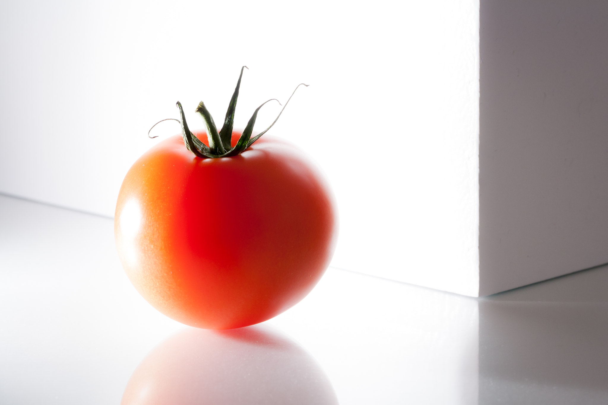 Canon EF 100mm F2.8L Macro IS USM sample photo. "it's red..." photography