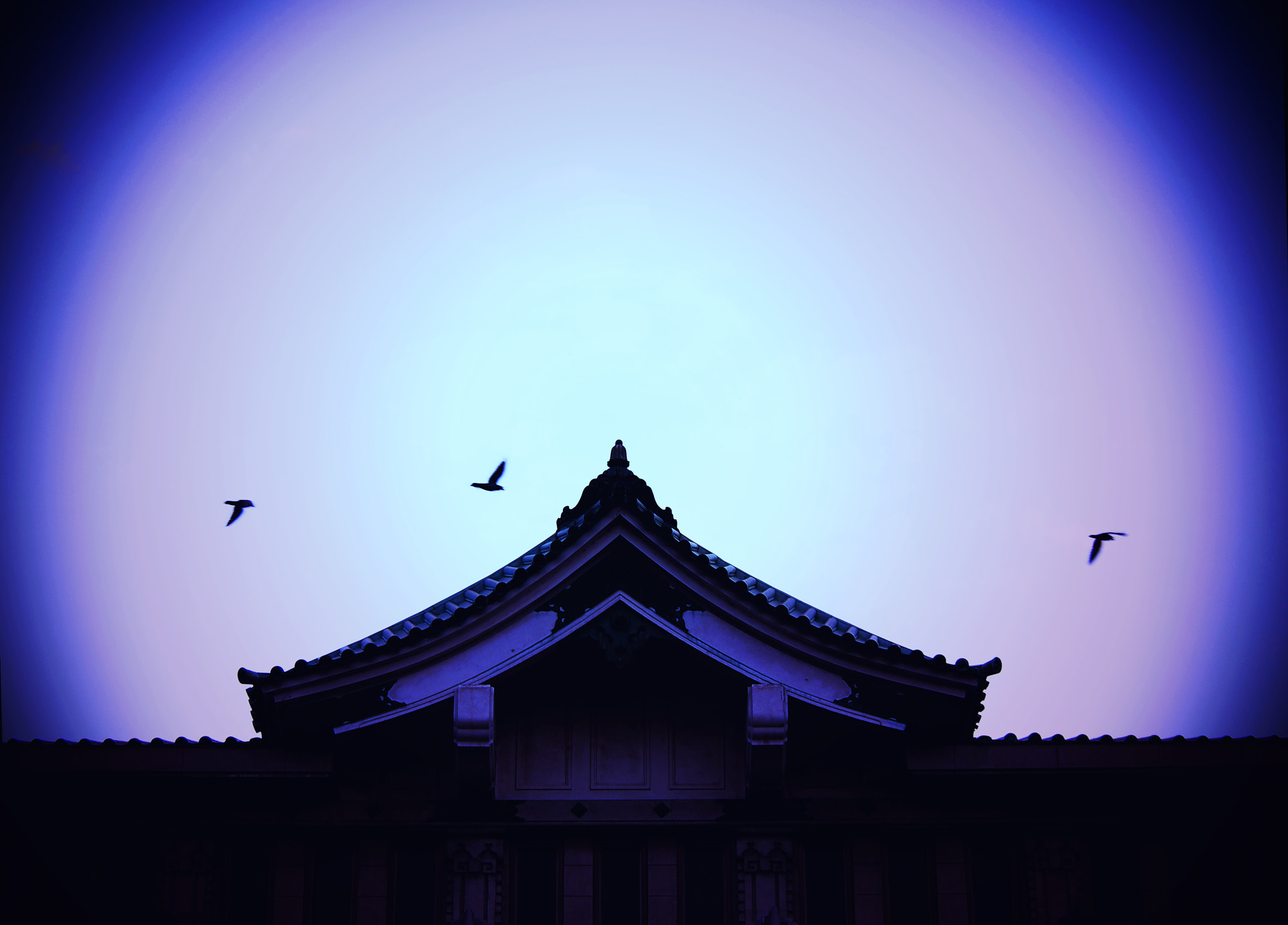 Olympus PEN E-PL5 sample photo. Early autumn sky ...early autumn, birds were flyin photography