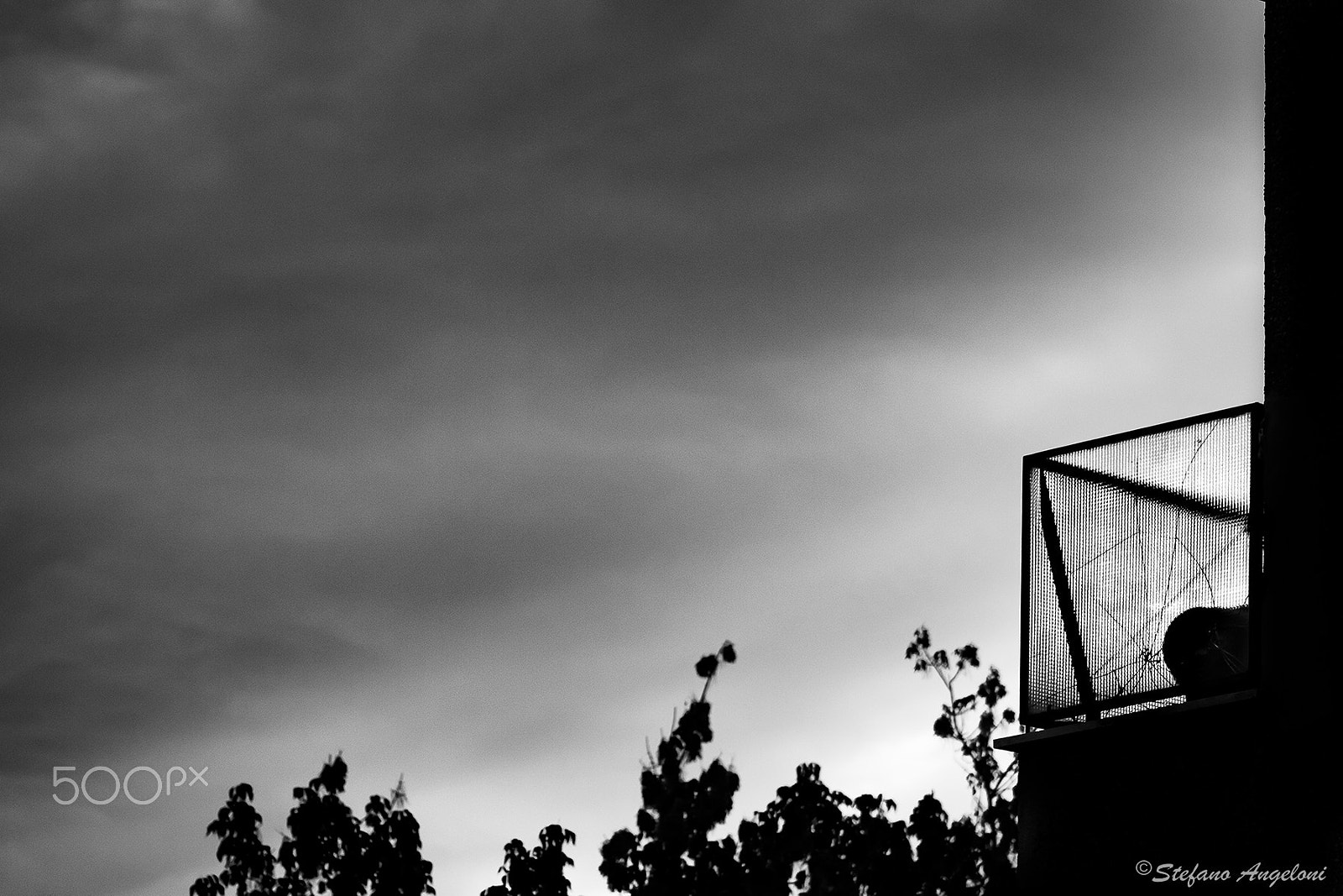 Canon EOS 50D + EF75-300mm f/4-5.6 sample photo. View black and white photography