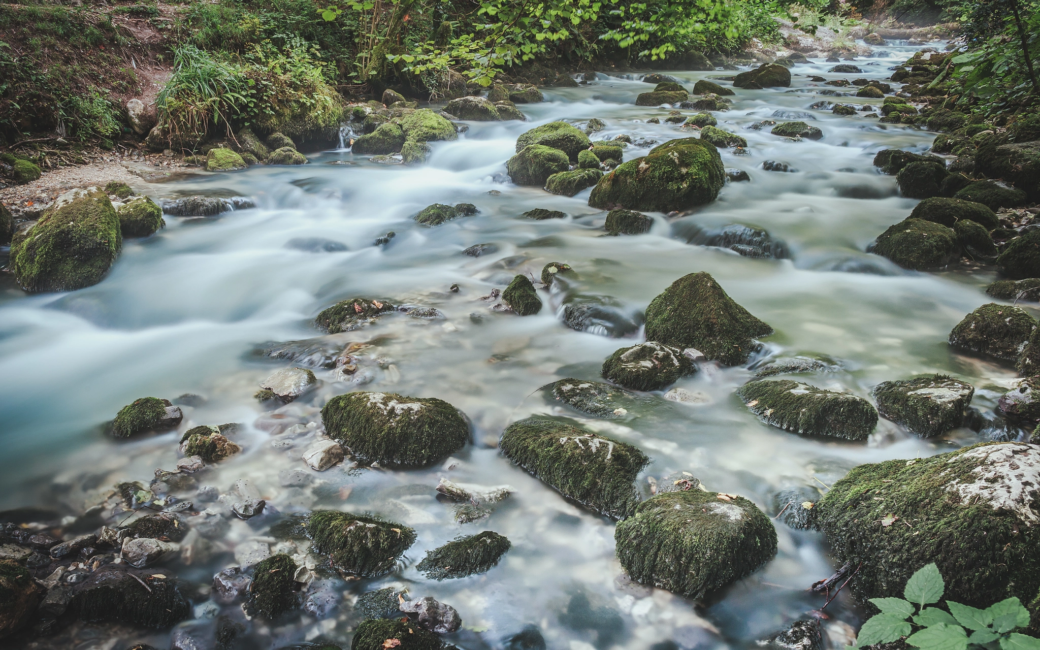Canon EF 24mm f/1.4L sample photo. Psyrtsha river photography