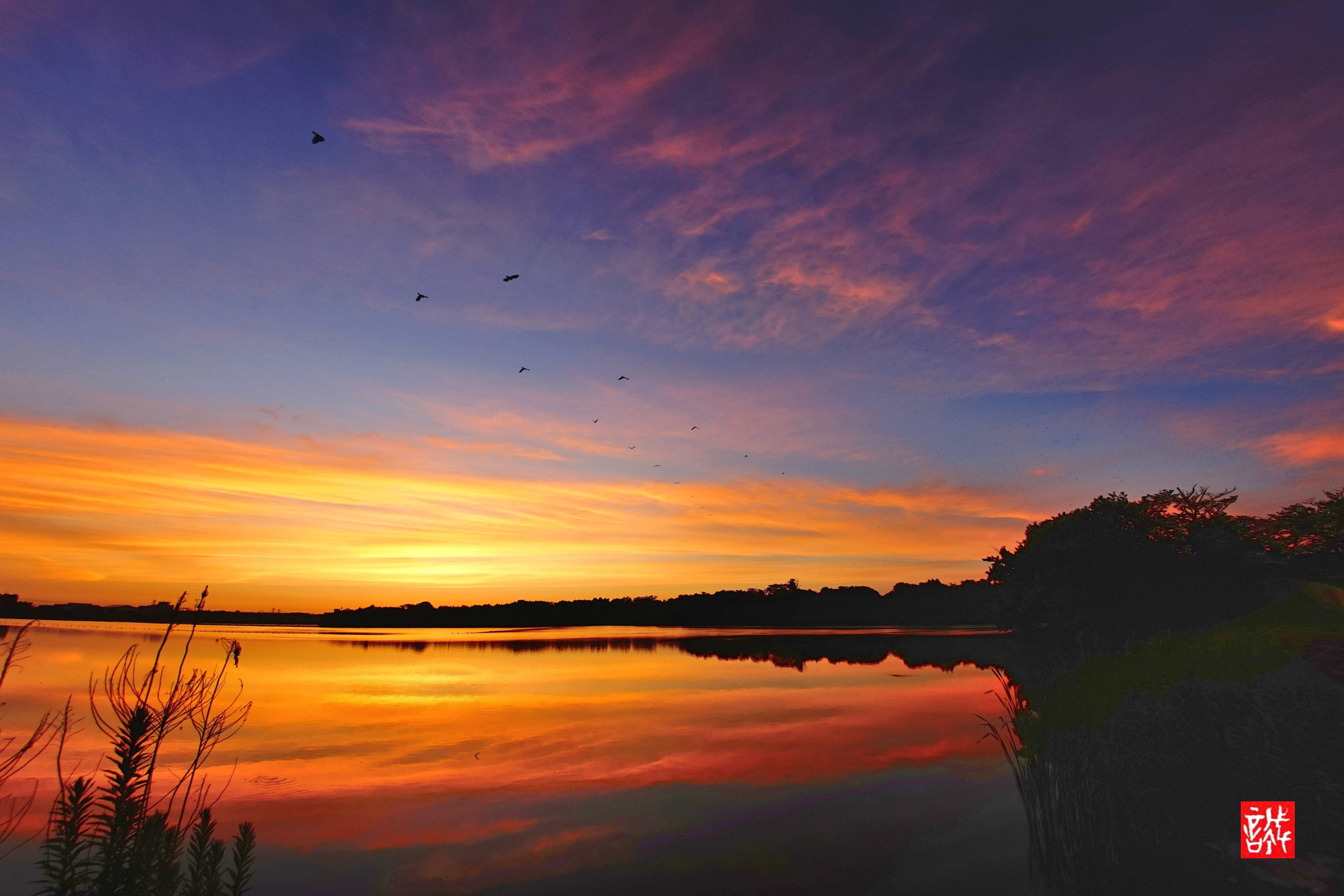 Sony a7 II + Sony 16mm F2.8 Fisheye sample photo. Morning glow photography