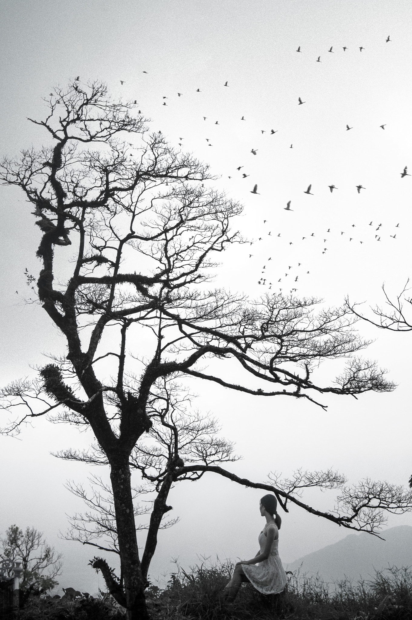 Nikon D300S sample photo. Vọng phu photography