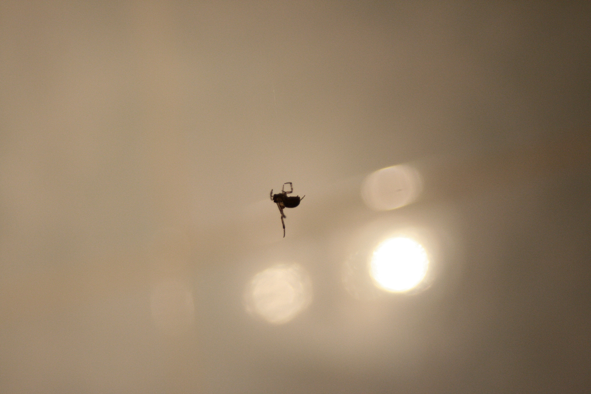 Canon EF 28-80mm f/3.5-5.6 USM IV sample photo
