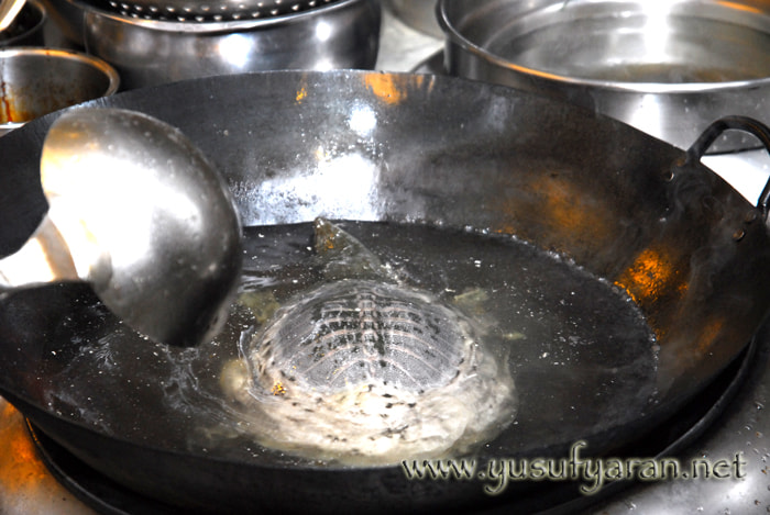 Nikon D200 sample photo. How to cook turtle kaplumbaga nasil pisirilir photography