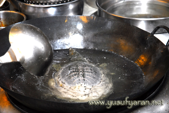 Sigma 17-70mm F2.8-4.5 DC Macro Asp. IF sample photo. How to cook turtle kaplumbaga nasil pisirilir photography