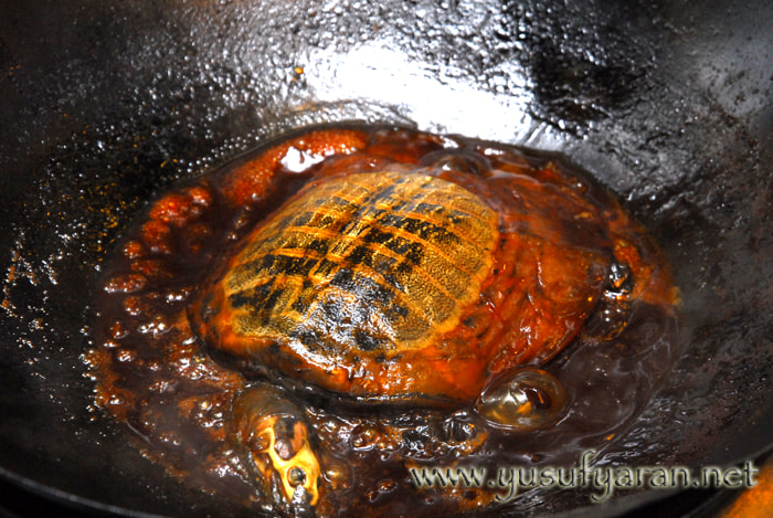 Sigma 17-70mm F2.8-4.5 DC Macro Asp. IF sample photo. How to cook turtle kaplumbaga nasil pisirilir photography