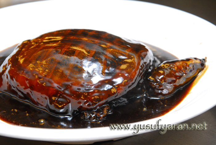 Nikon D200 sample photo. How to cook turtle kaplumbaga nasil pisirilir photography