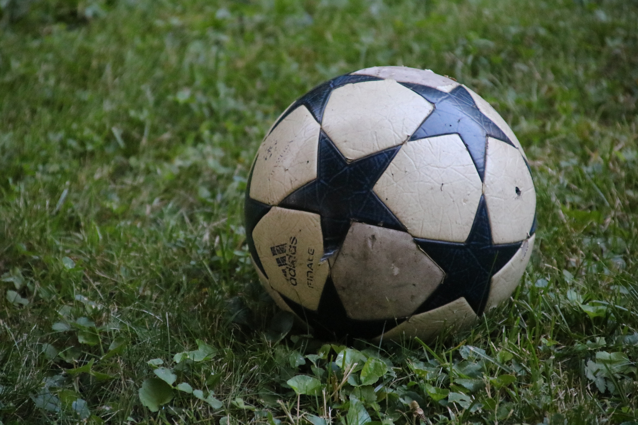 Canon EOS 750D (EOS Rebel T6i / EOS Kiss X8i) + Canon TS-E 90mm F2.8 Tilt-Shift sample photo. Football photography