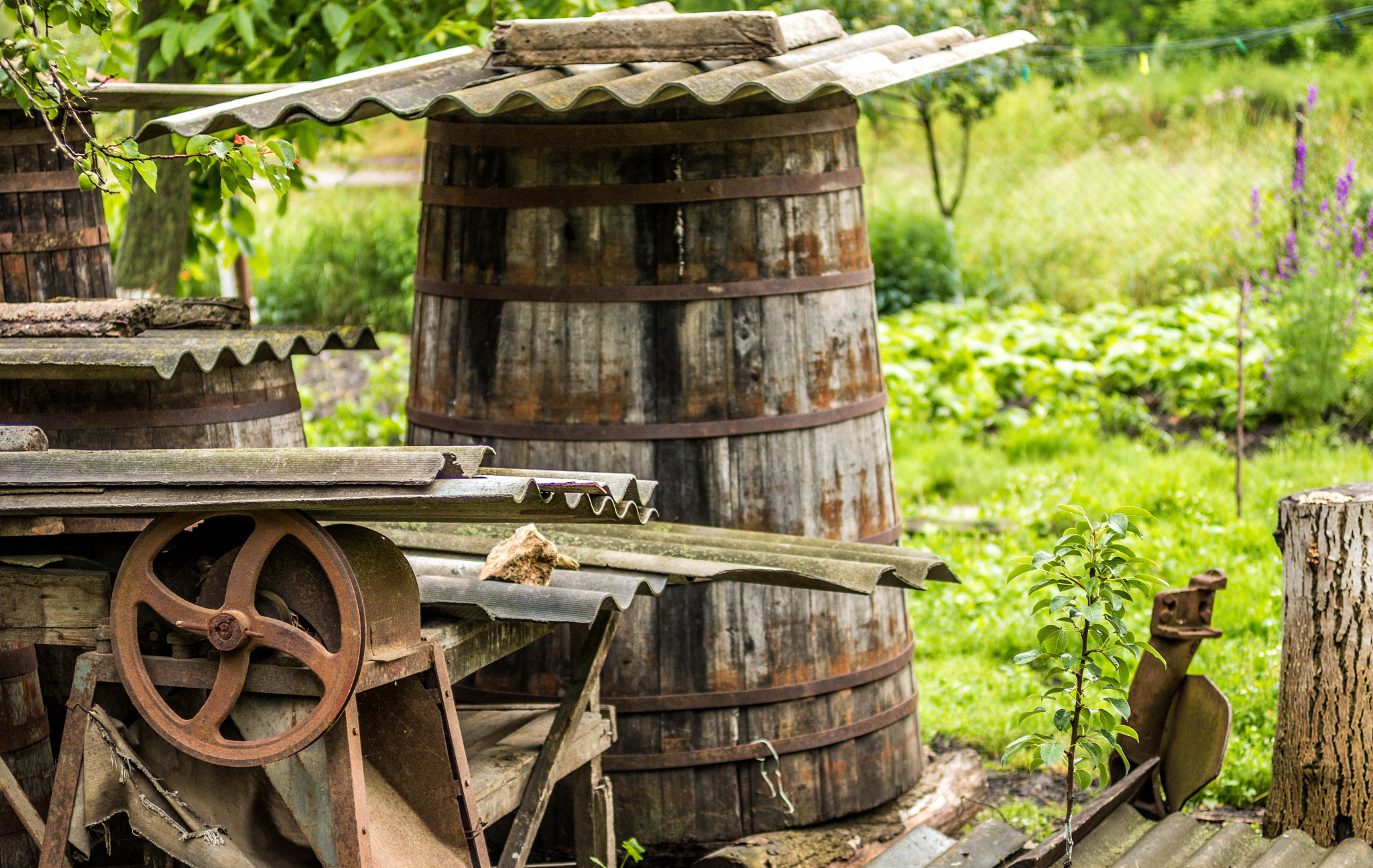 Canon EOS 70D + Canon EF 50mm F2.5 Macro sample photo. Forgotten country photography
