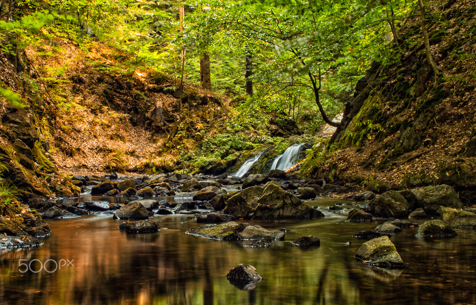 Pentax K-1 + Sigma sample photo. Indian summer photography