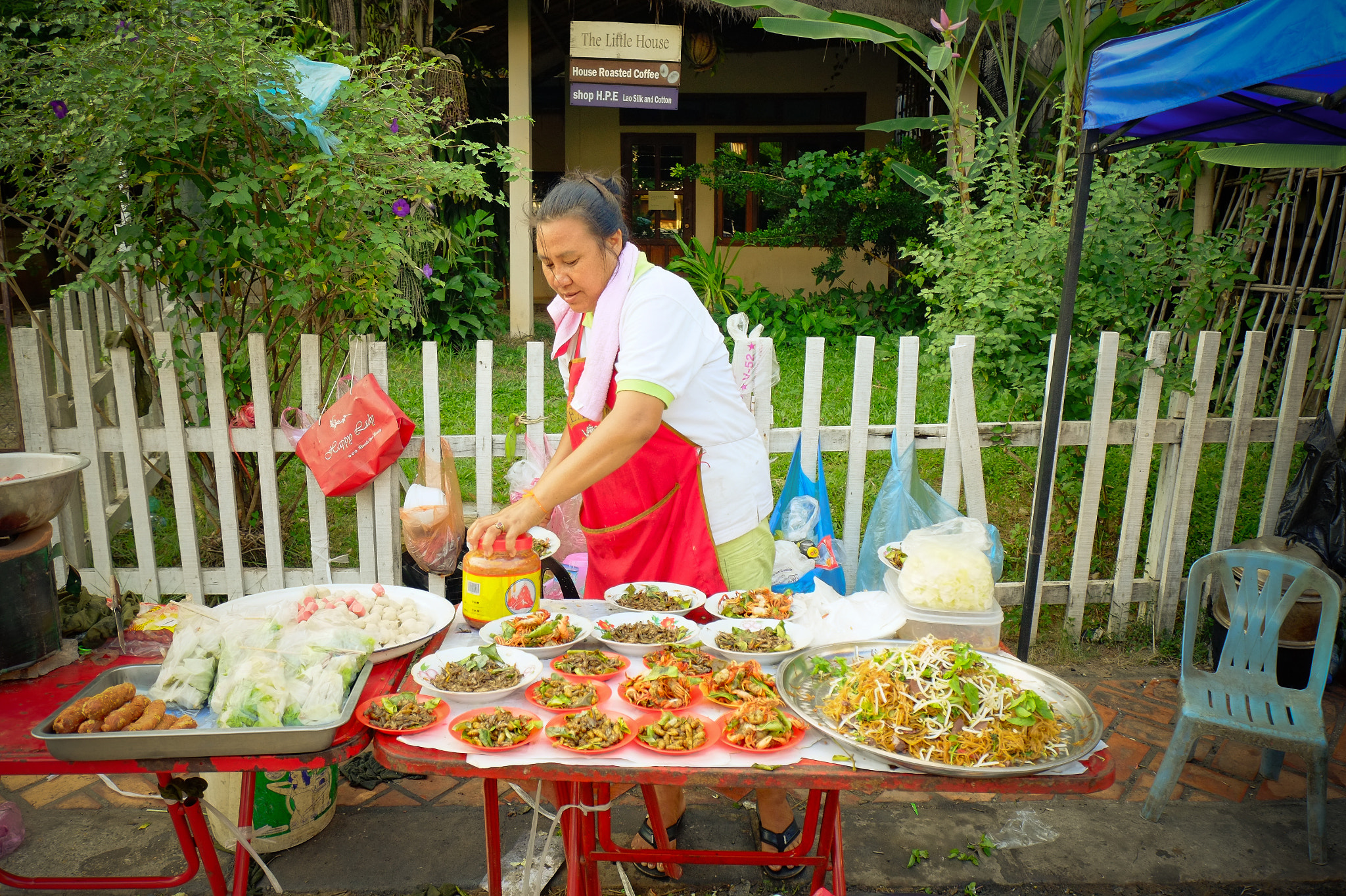 Fujifilm XF 10-24mm F4 R OIS sample photo. Vientiane boat racing festival photography