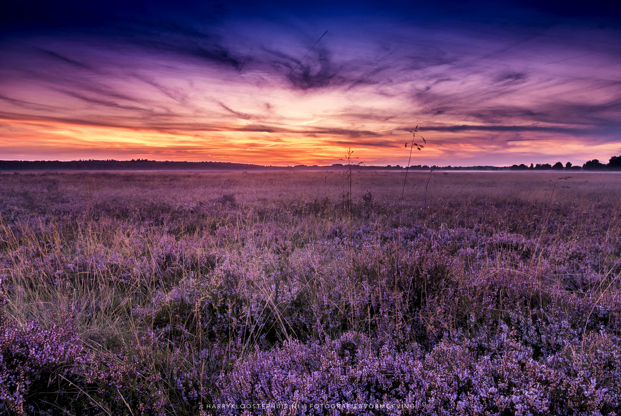 Nikon D80 sample photo. Sunset at the ginkelse heide photography