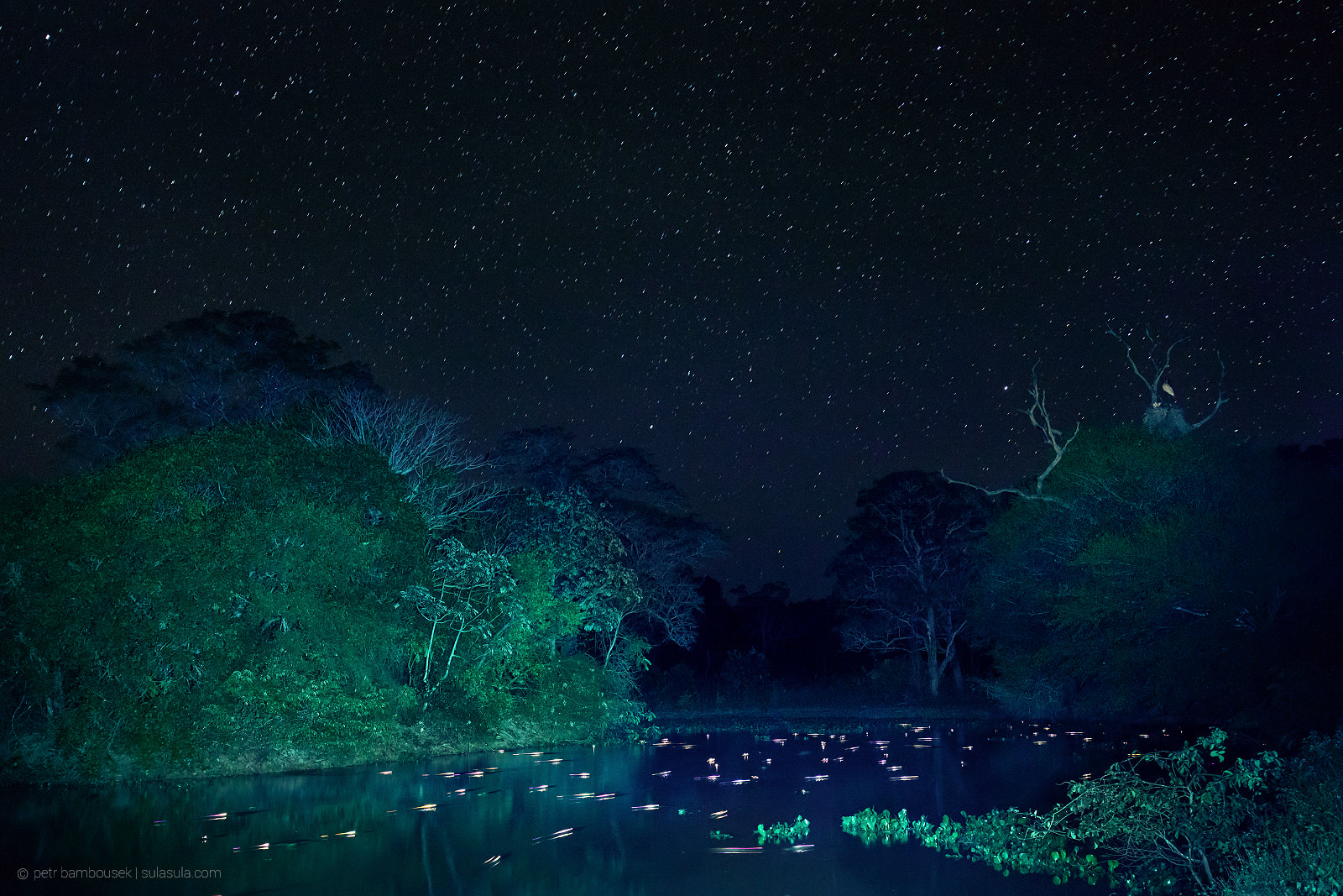 Canon EOS 5DS + Canon EF 16-35mm F4L IS USM sample photo. Midnight over caiman pool | pantanal photography