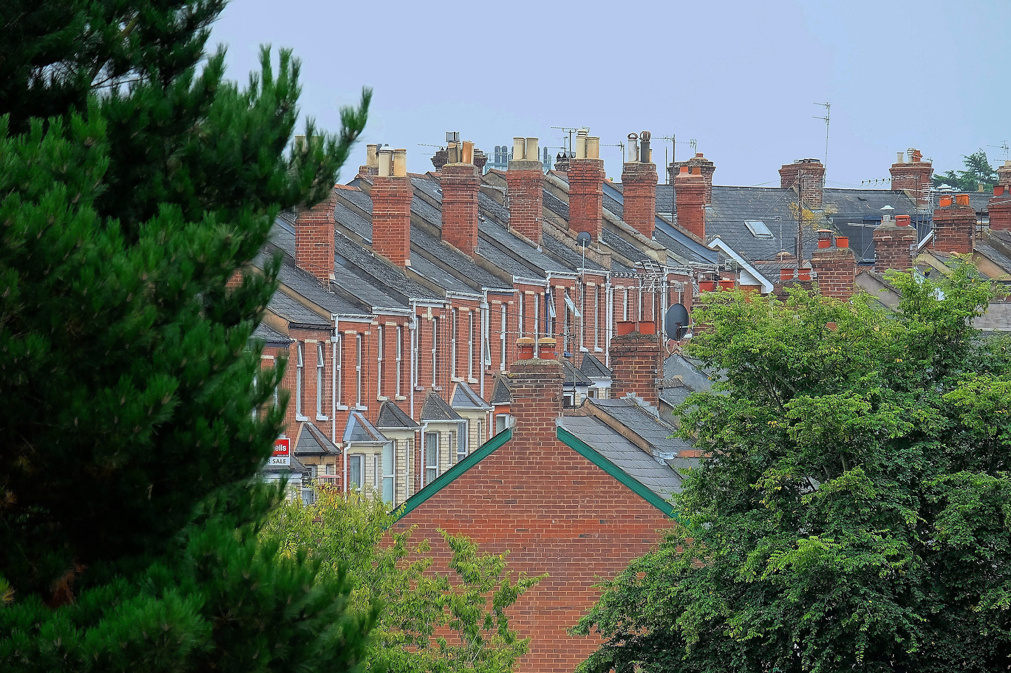 Fujifilm X-A2 + Fujifilm XC 50-230mm F4.5-6.7 OIS sample photo. Britain through the trees... photography