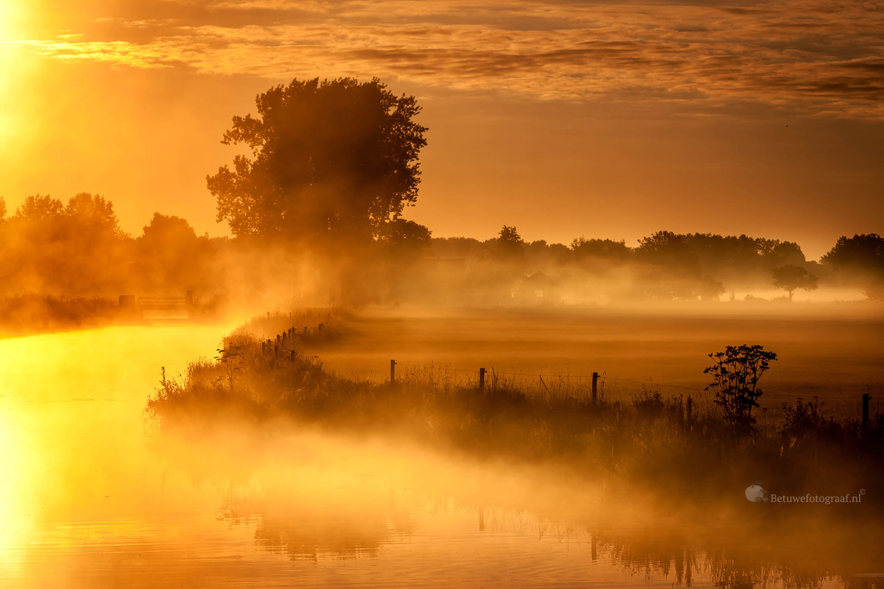 Canon EOS 40D + Canon EF 100mm F2.8L Macro IS USM sample photo. Dutch dawn ii photography