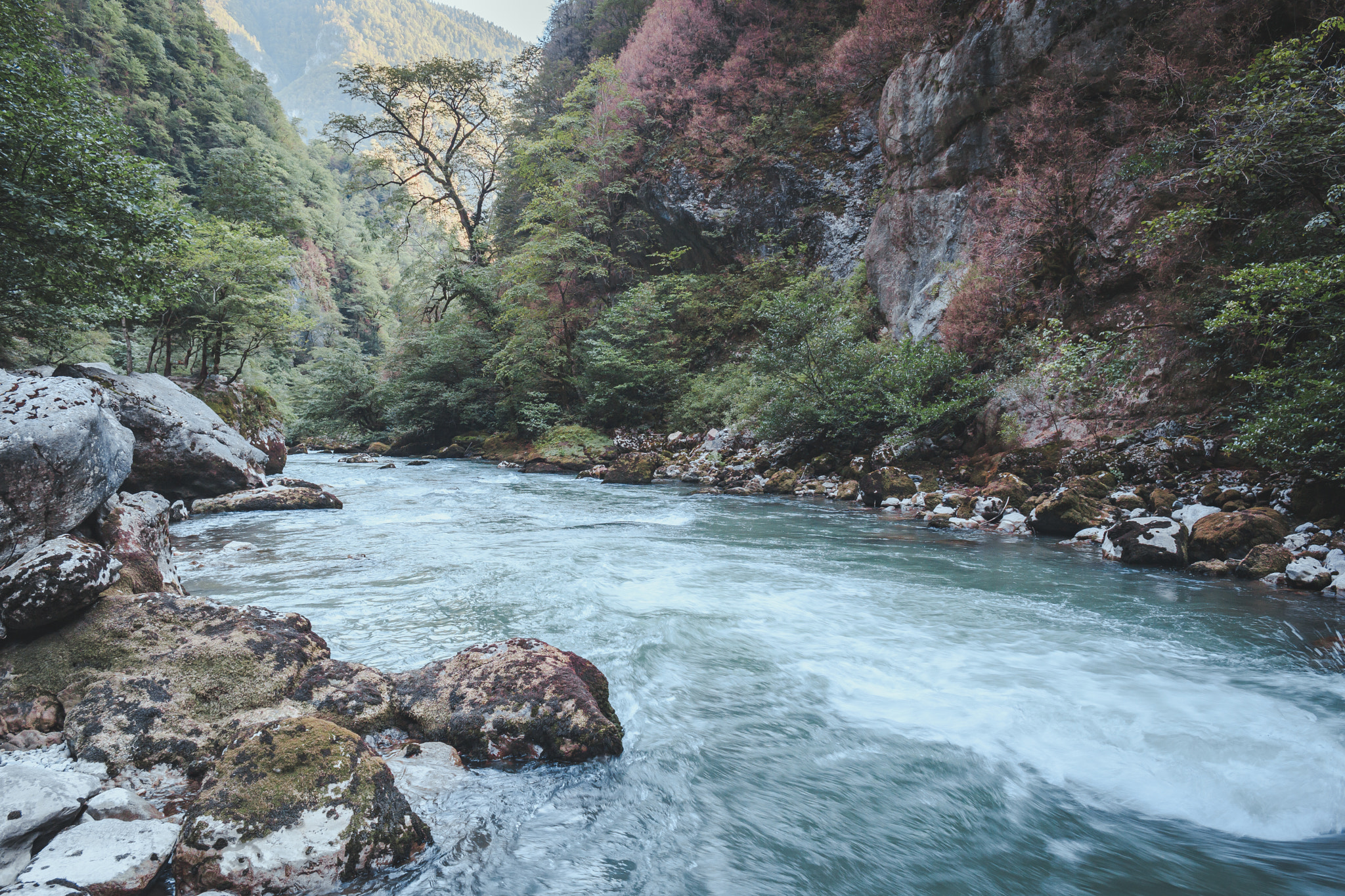 Canon EF 24mm f/1.4L sample photo. Bzyb river photography