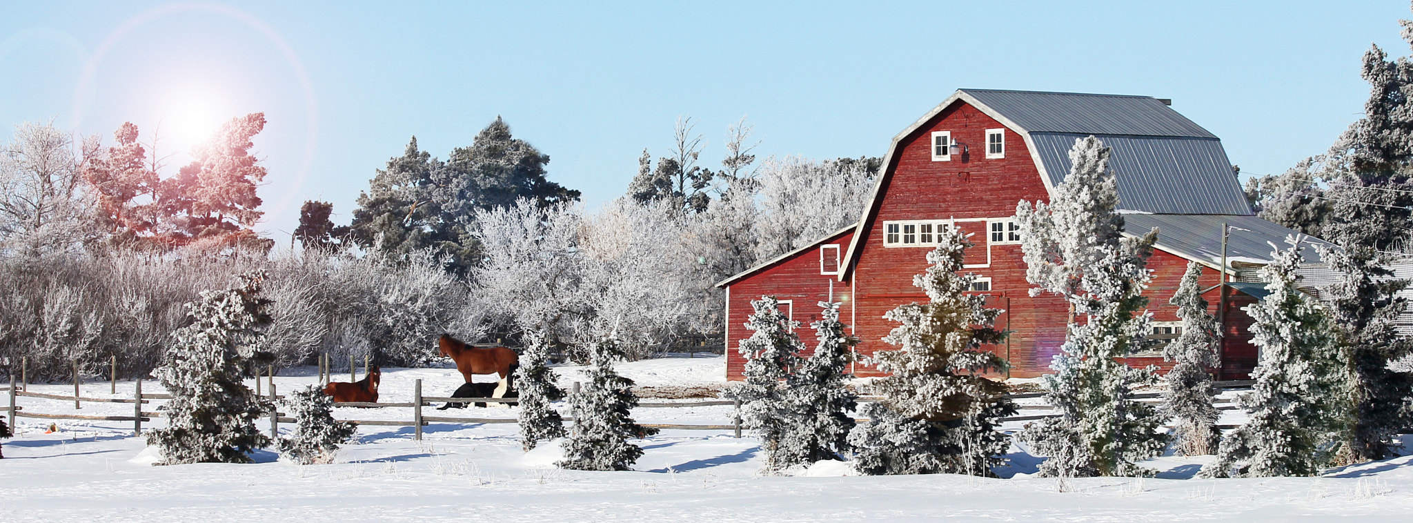 Canon EF 70-300mm F4-5.6 IS USM sample photo. Barn in winter photography