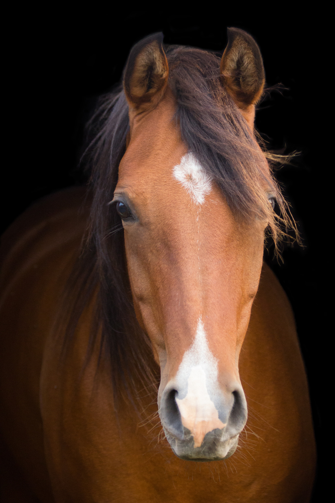 Canon EF 70-300mm F4-5.6 IS USM sample photo. Sahara photography