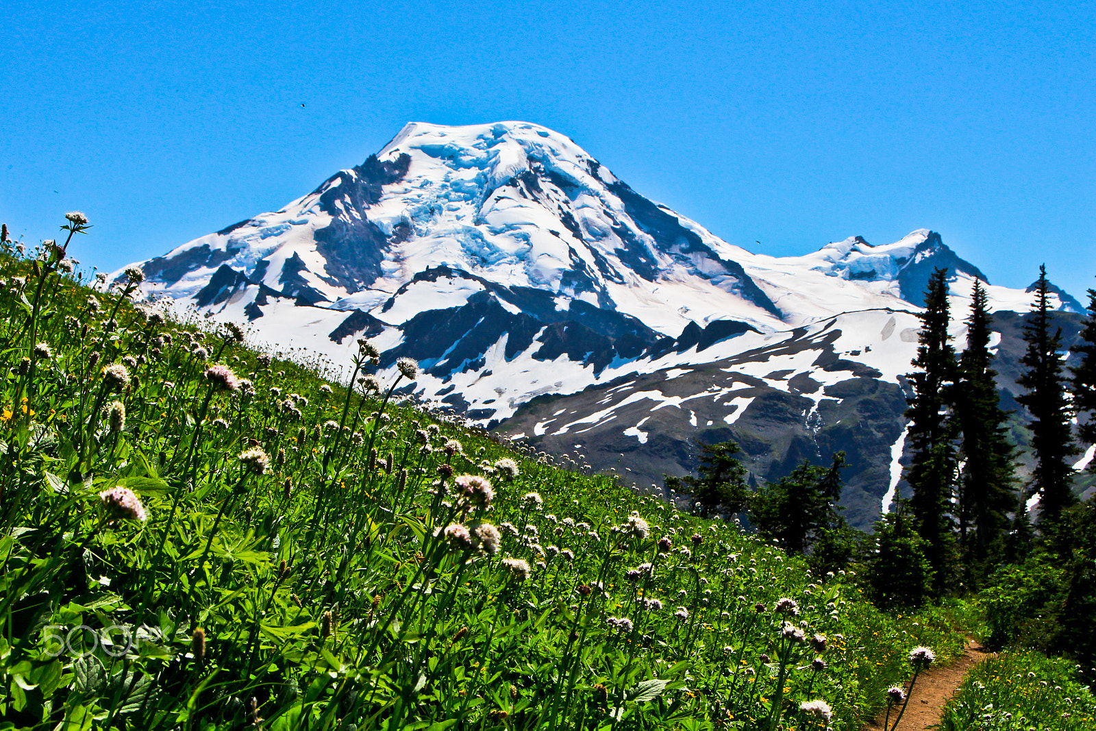 Canon EOS 650D (EOS Rebel T4i / EOS Kiss X6i) sample photo. Mount baker washington photography