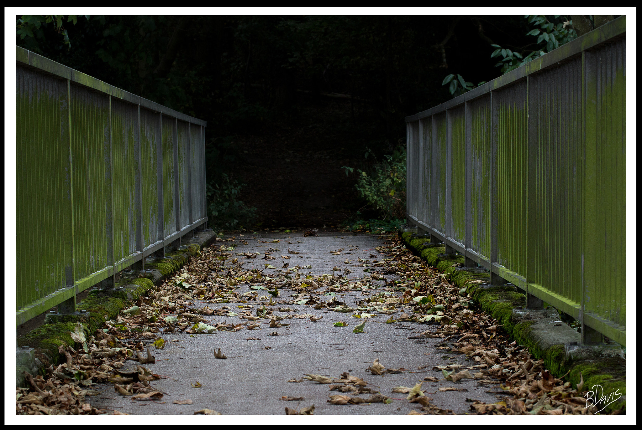 Tamron SP 35mm F1.8 Di VC USD sample photo. Into the unknown photography
