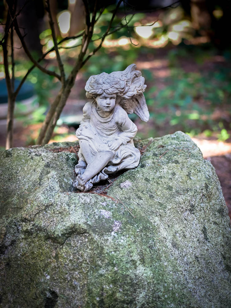 Panasonic Lumix DMC-GX85 (Lumix DMC-GX80 / Lumix DMC-GX7 Mark II) sample photo. An angel of mercy on a rock photography
