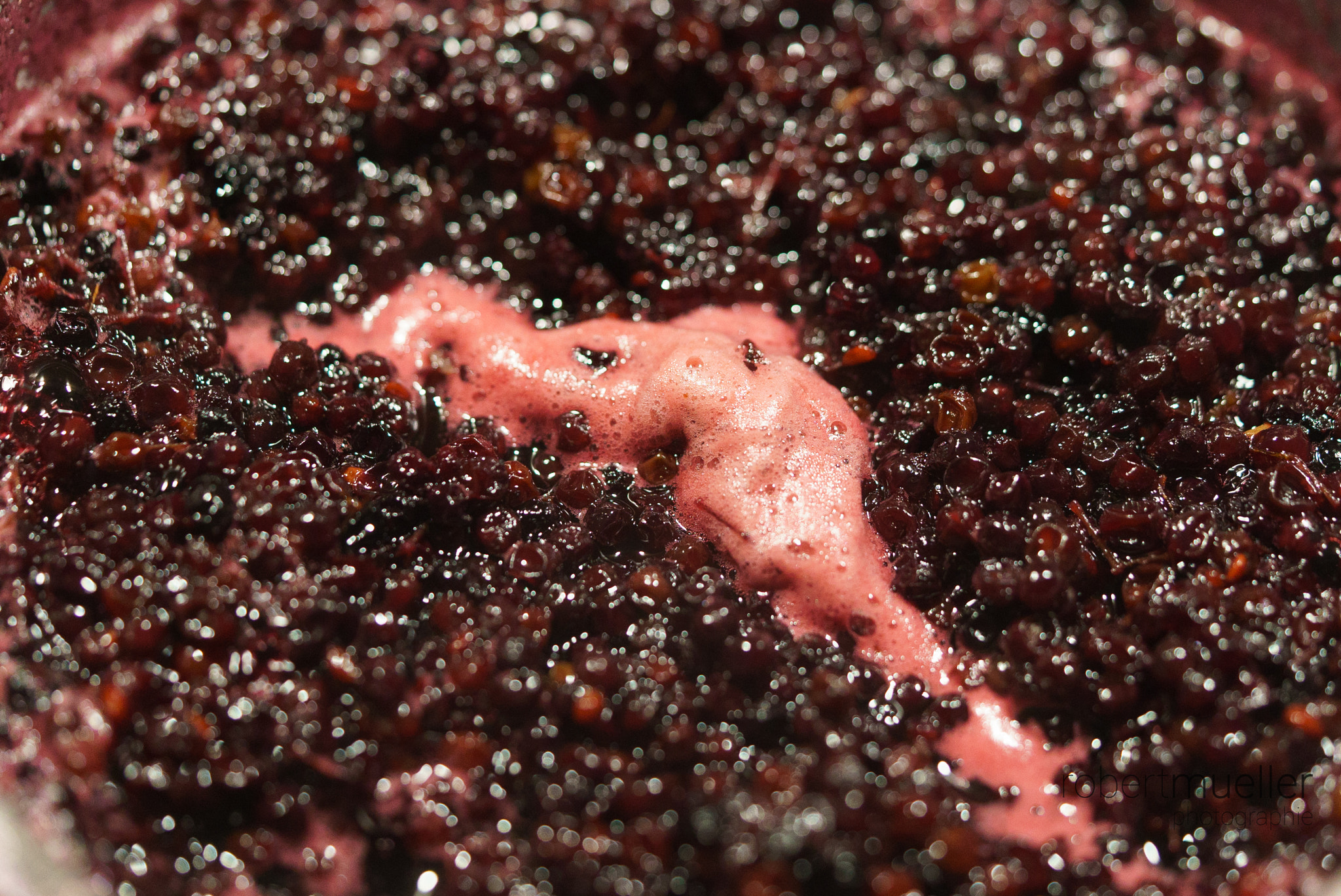 Sony a7S + Sony FE 90mm F2.8 Macro G OSS sample photo. Elderberry liqueur photography