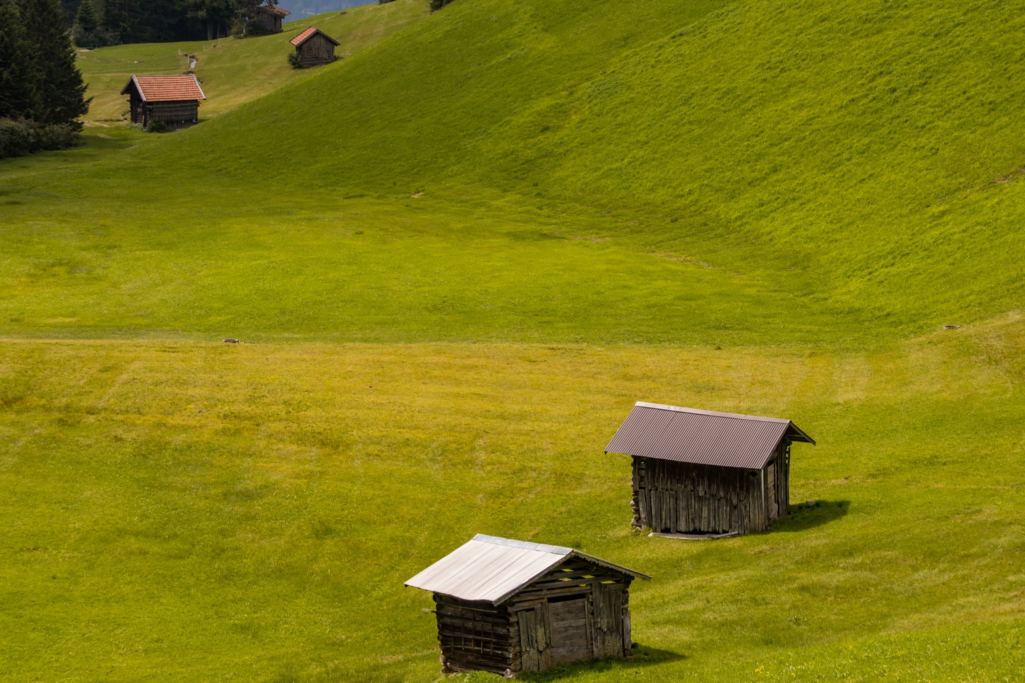 Canon EF 28-135mm F3.5-5.6 IS USM sample photo. The grass is always greener... photography