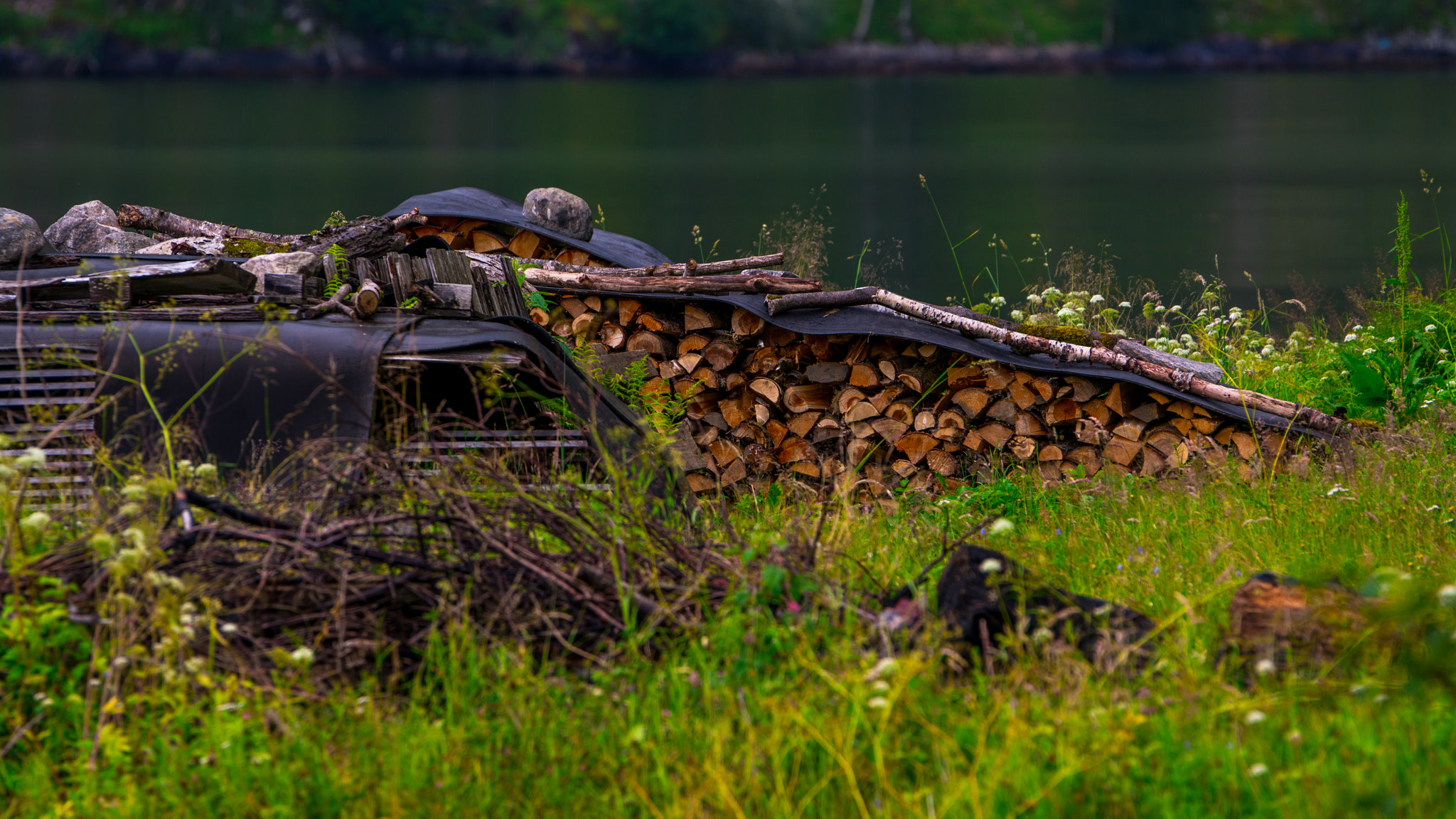 Sony a7R II + Sony 70-400mm F4-5.6 G SSM sample photo. Norway photography