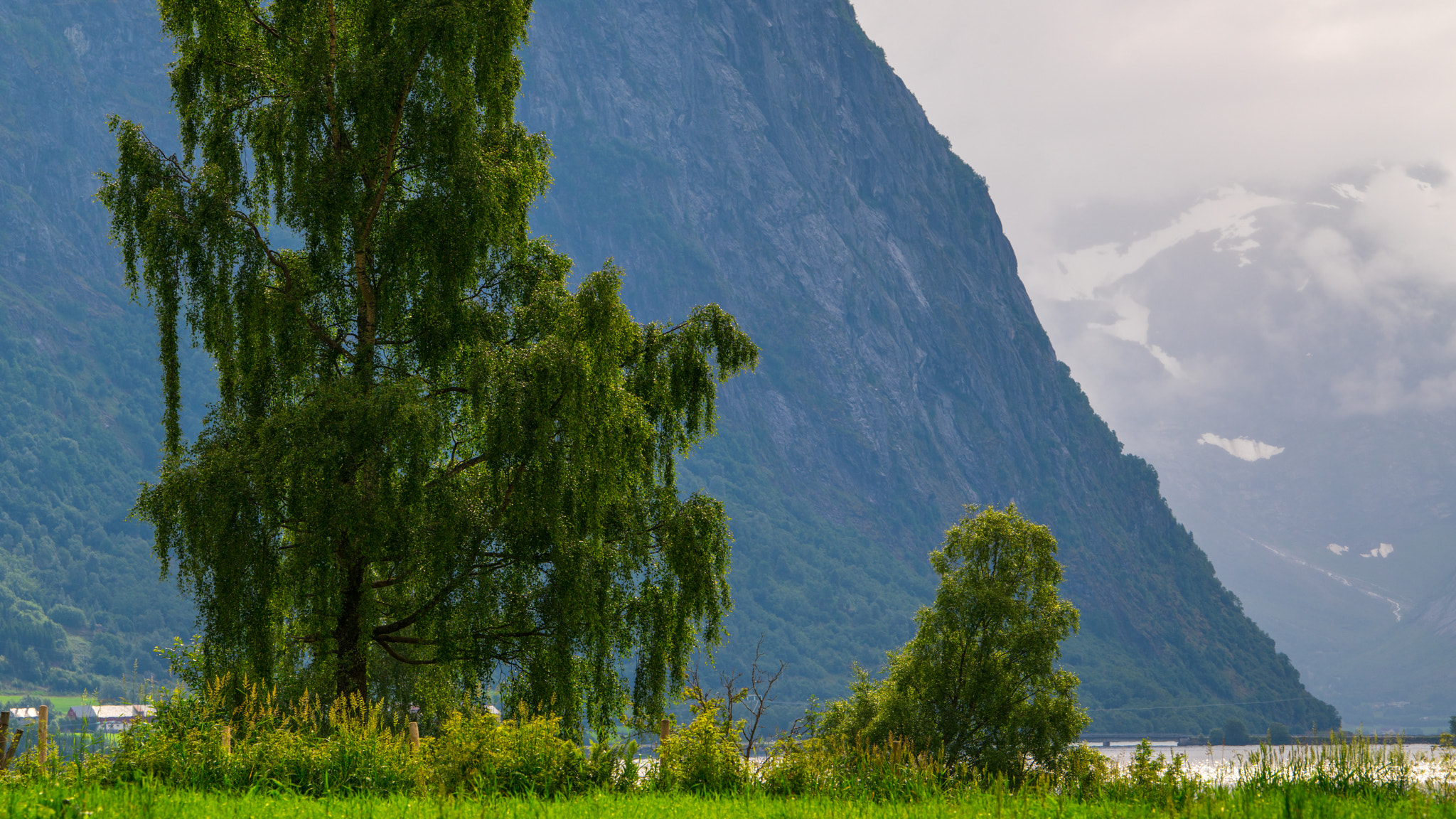 Sony a7R II + Sony 70-400mm F4-5.6 G SSM sample photo. Norway photography