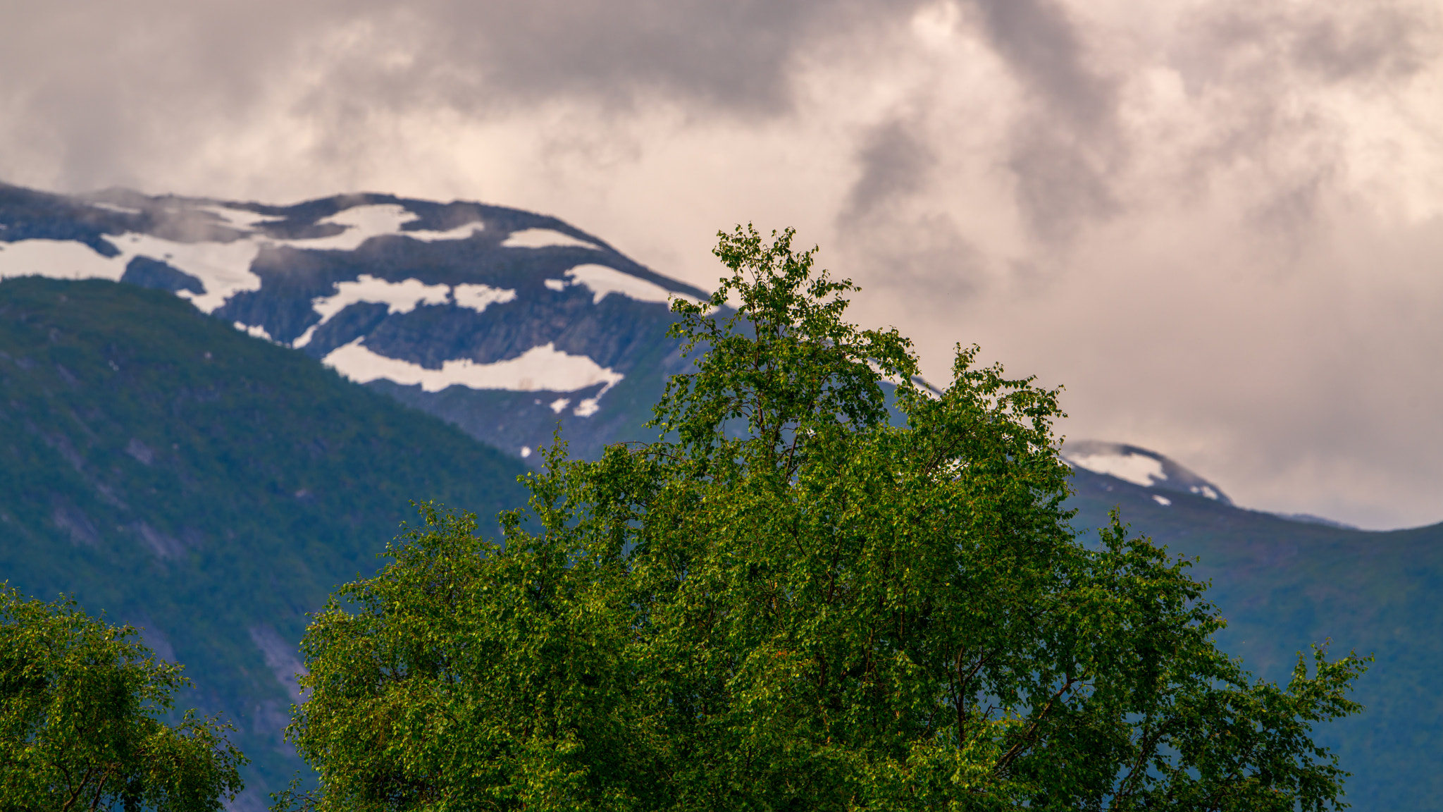 Sony a7R II + Sony 70-400mm F4-5.6 G SSM sample photo. Norway photography