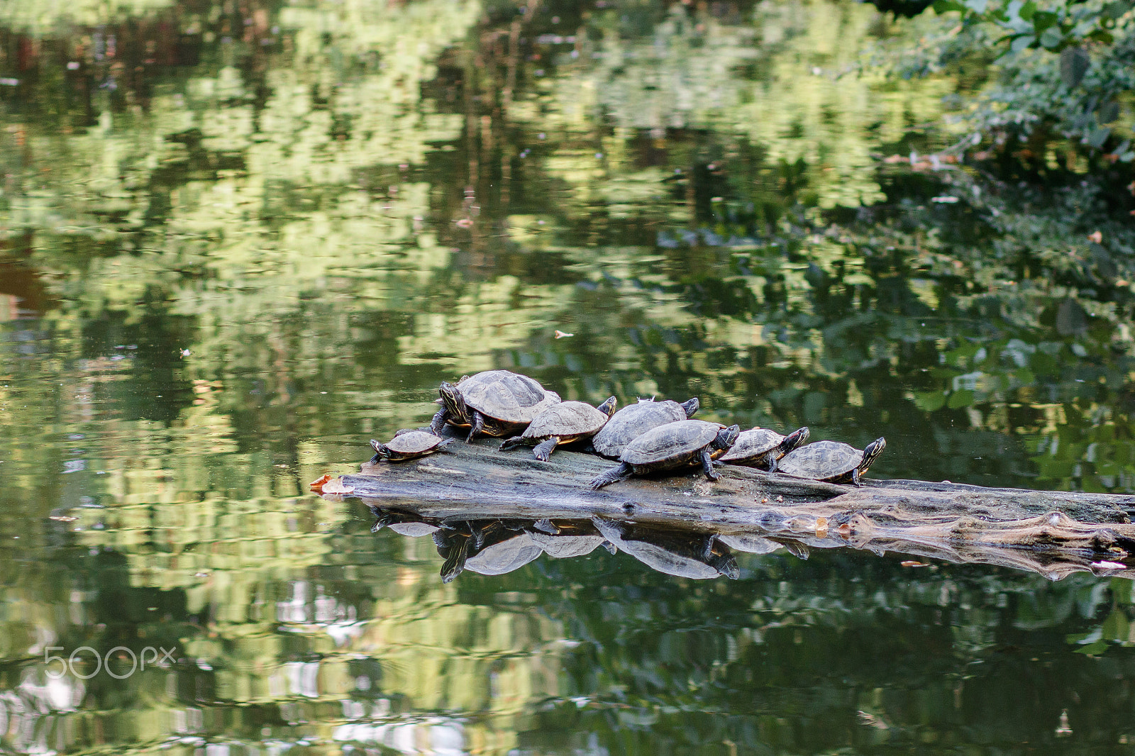 Canon EOS 760D (EOS Rebel T6s / EOS 8000D) + Canon EF 85mm F1.8 USM sample photo. Family all togeather photography