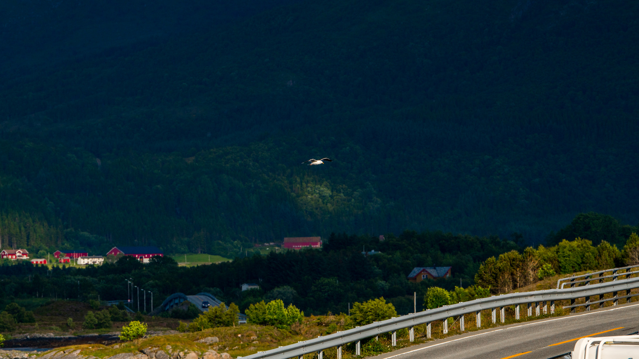 Sony a7R II + Sony 70-400mm F4-5.6 G SSM sample photo. Norway photography