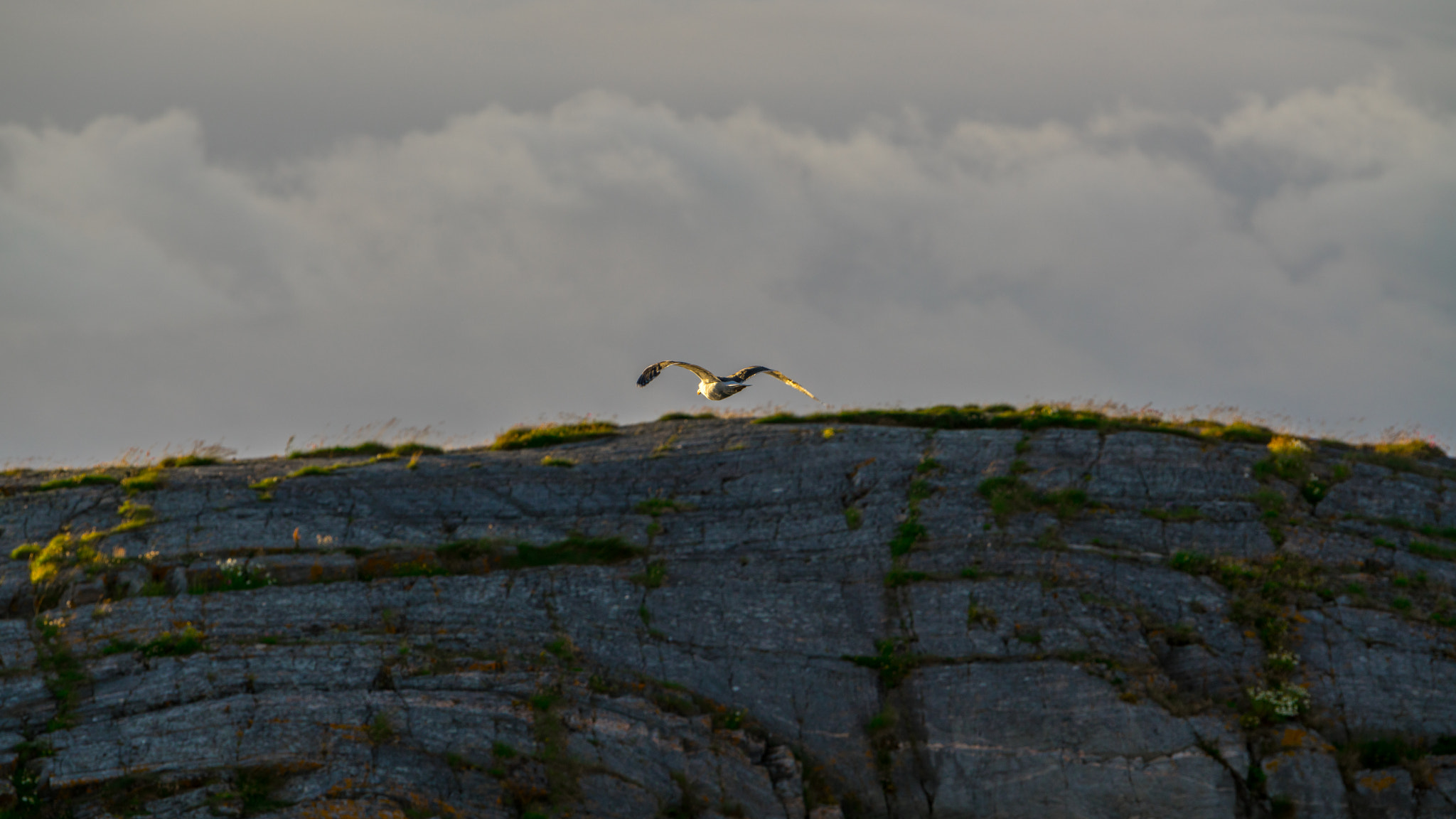 Sony a7R II + Sony 70-400mm F4-5.6 G SSM sample photo. Norway photography