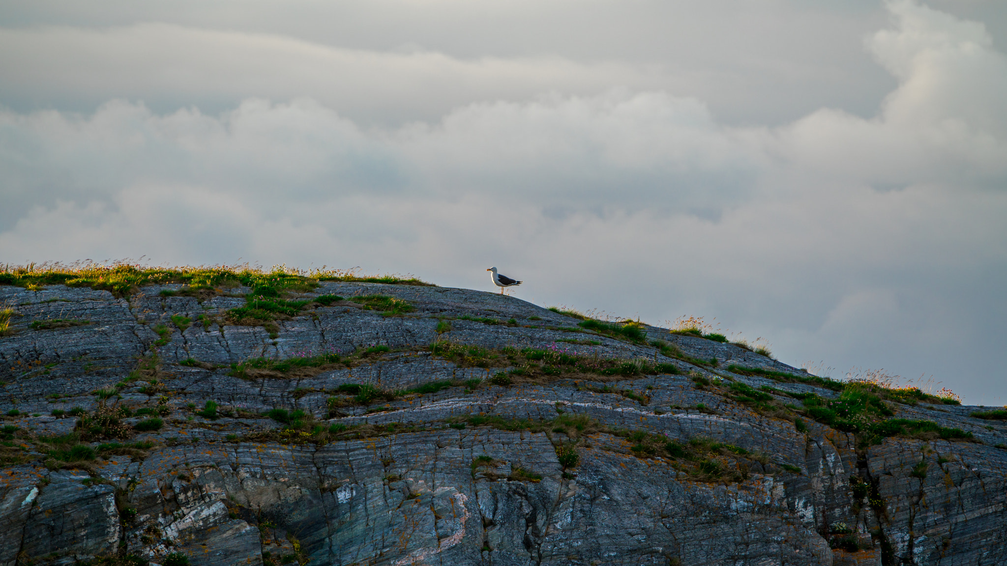 Sony a7R II + Sony 70-400mm F4-5.6 G SSM sample photo. Norway photography