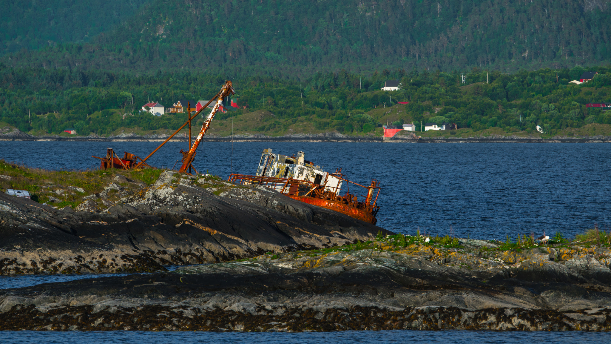 Sony a7R II + Sony 70-400mm F4-5.6 G SSM sample photo. Norway photography