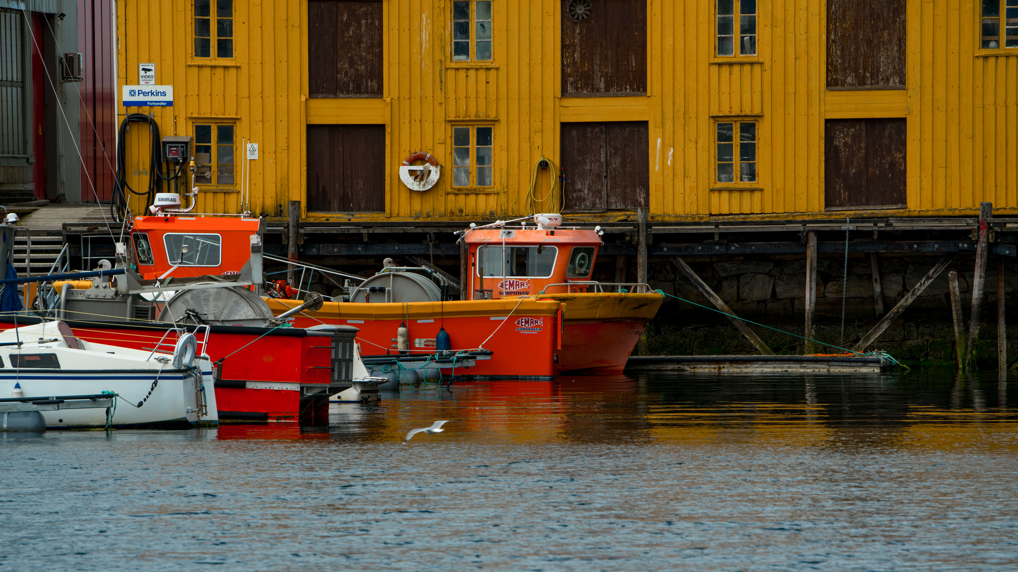 Sony a7R II + Sony 70-400mm F4-5.6 G SSM sample photo. Norway photography