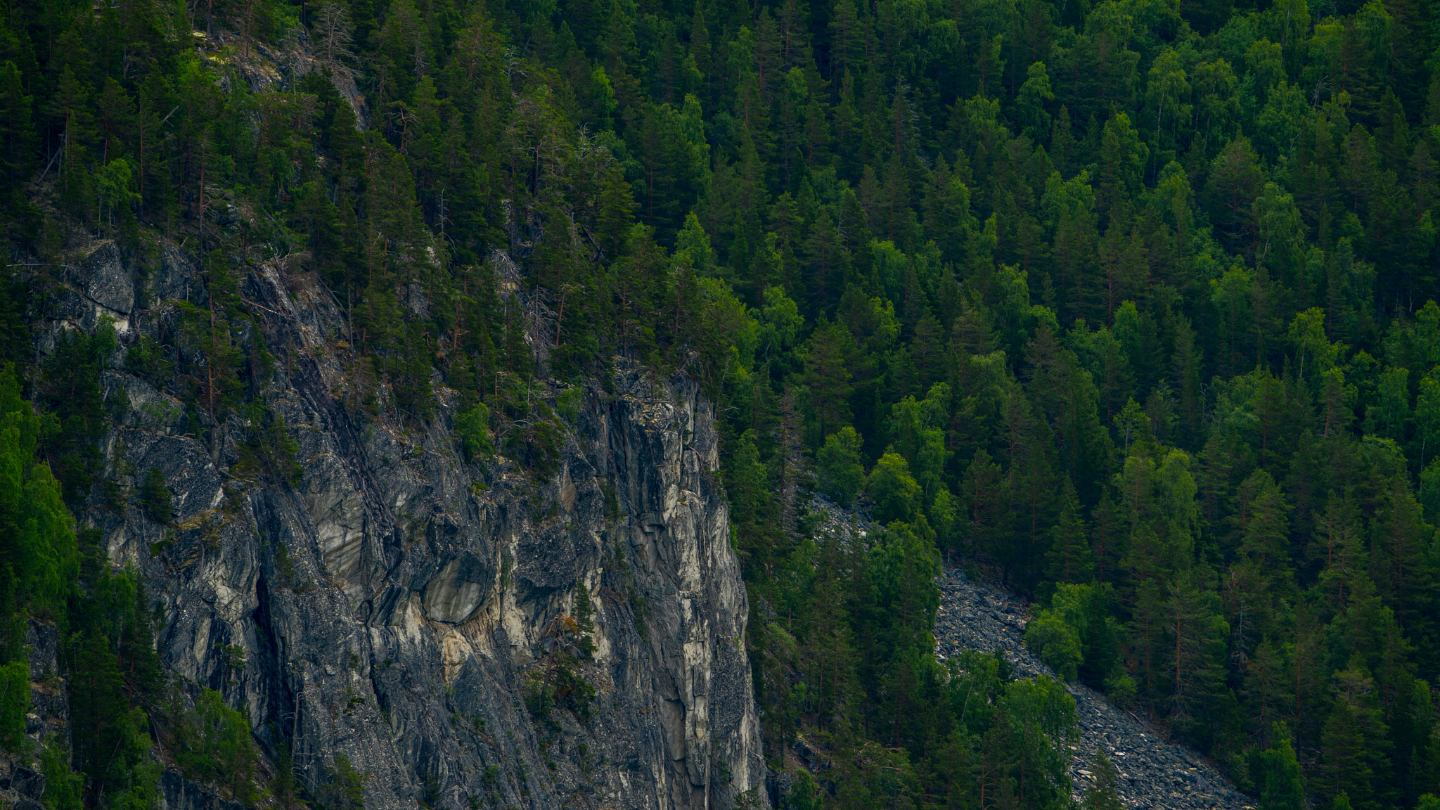 Sony a7R II + Sony 70-400mm F4-5.6 G SSM sample photo. Norway photography