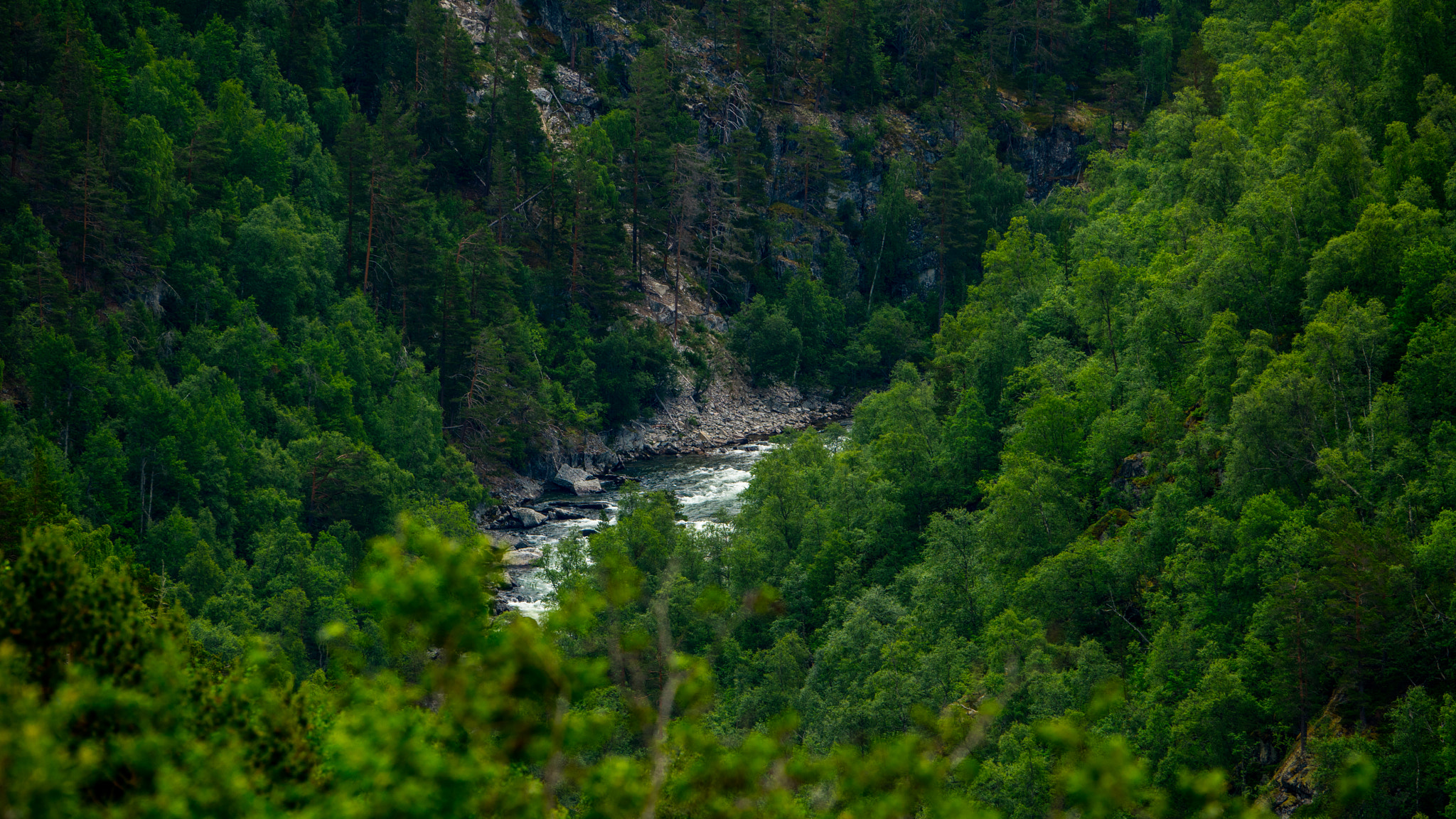 Sony a7R II + Sony 70-400mm F4-5.6 G SSM sample photo. Norway photography