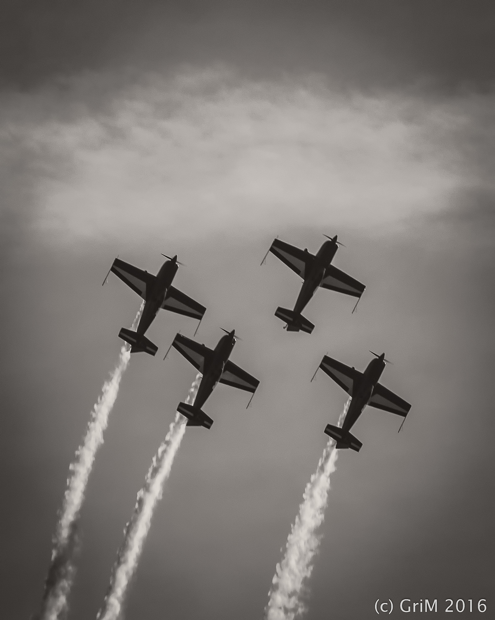 Olympus OM-D E-M5 II sample photo. Jordanian falcons photography
