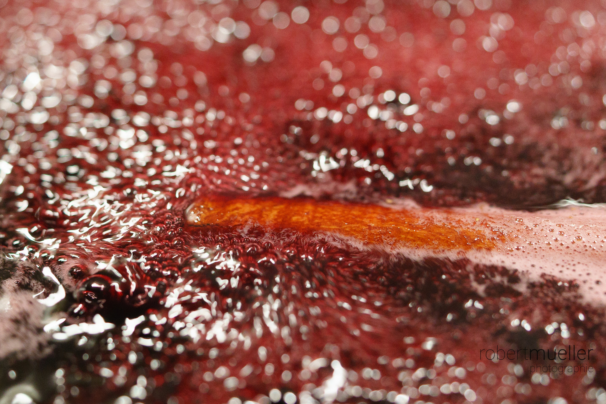 Sony a7S + Sony FE 90mm F2.8 Macro G OSS sample photo. Cinnamon & cloves photography