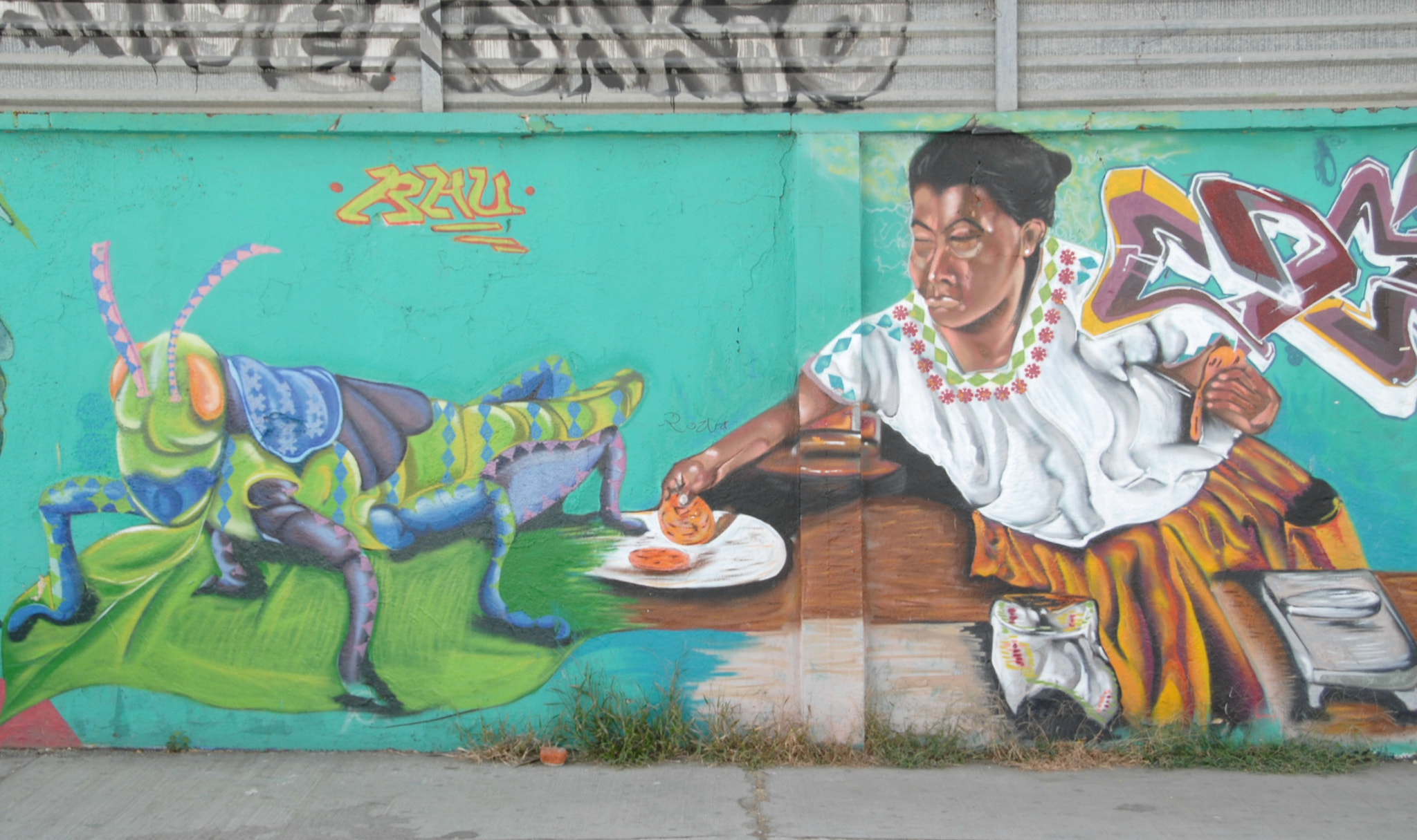 Nikon D200 sample photo. Cooking with grasshoppers oaxaca photography
