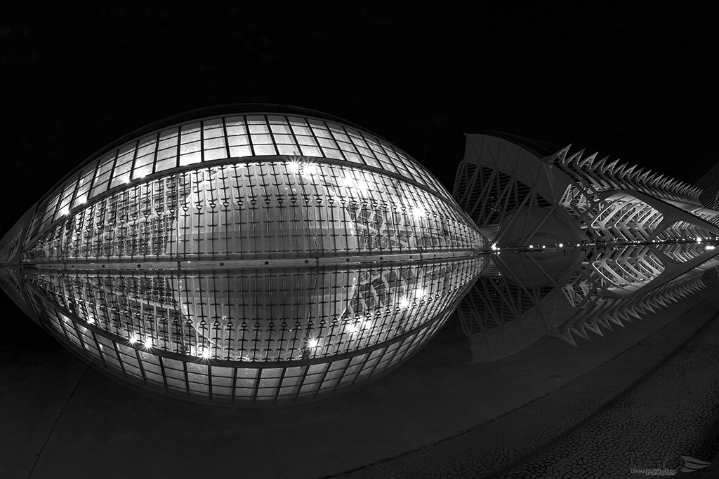 Canon EF 8-15mm F4L Fisheye USM sample photo. Mg photography