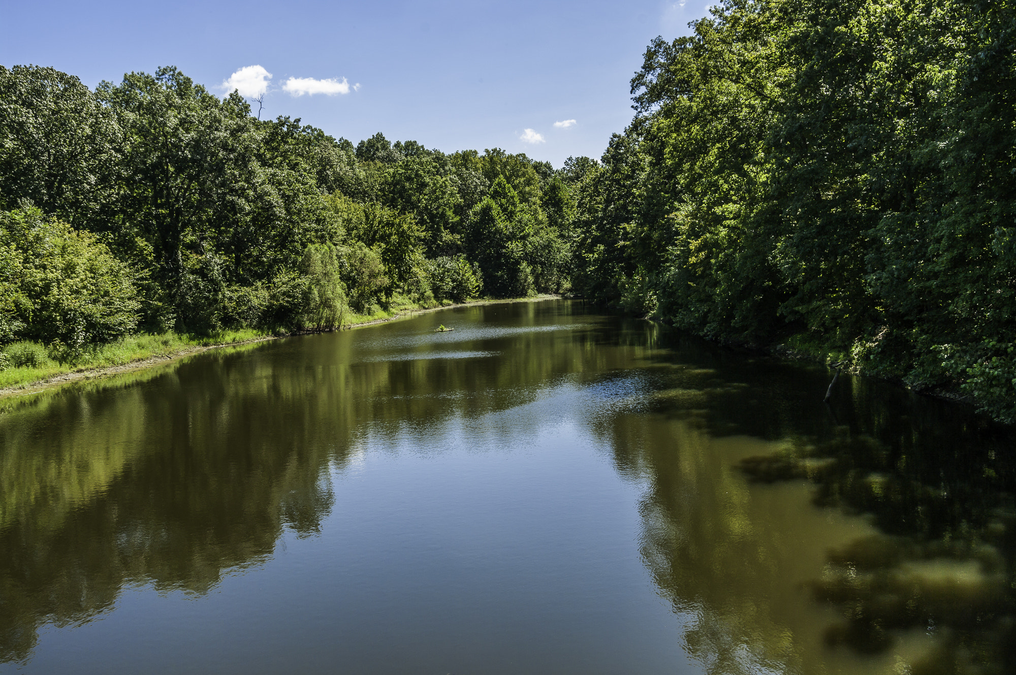 Pentax K20D sample photo. Parklands photography