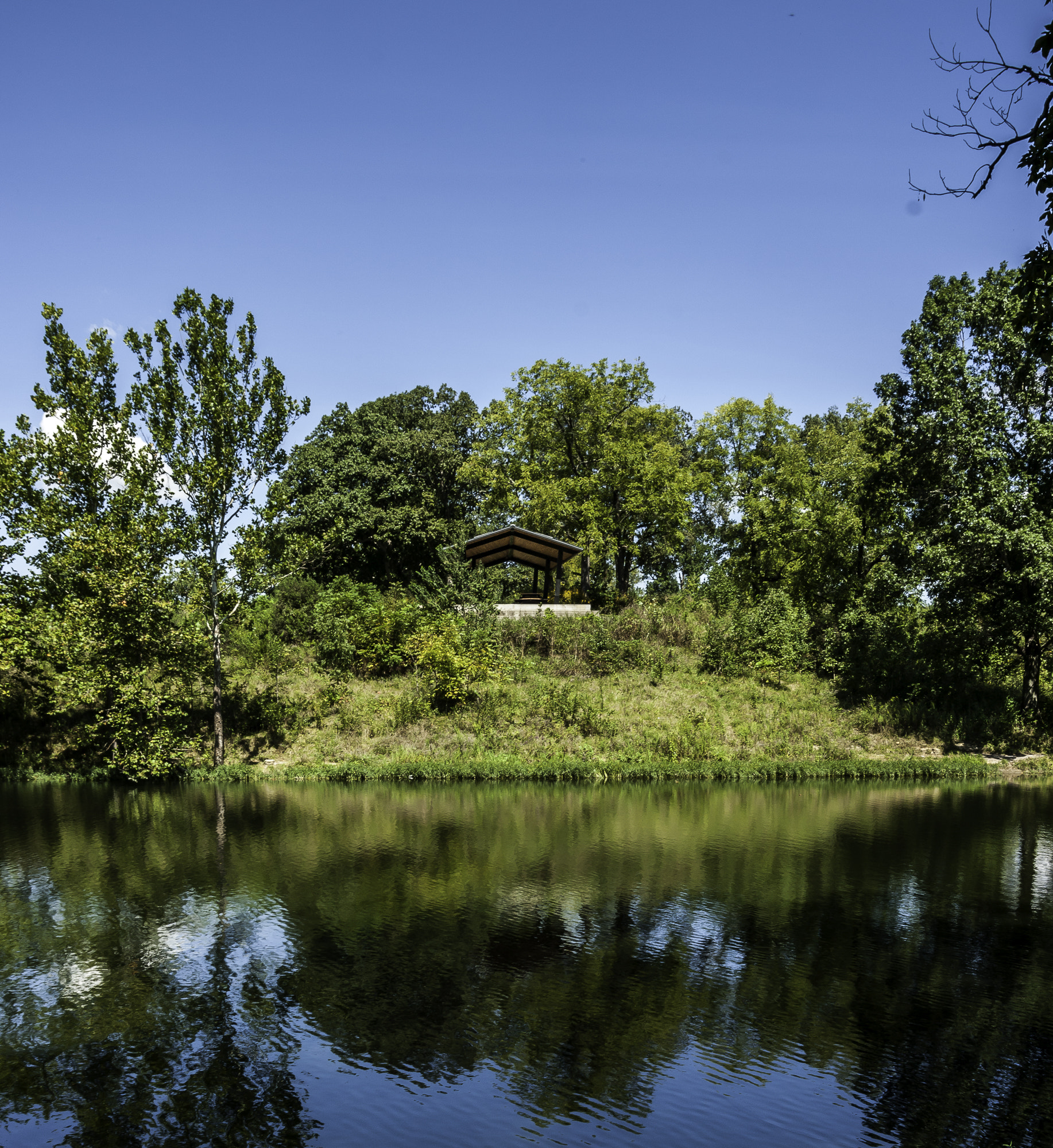 Pentax K20D sample photo. Parklands photography