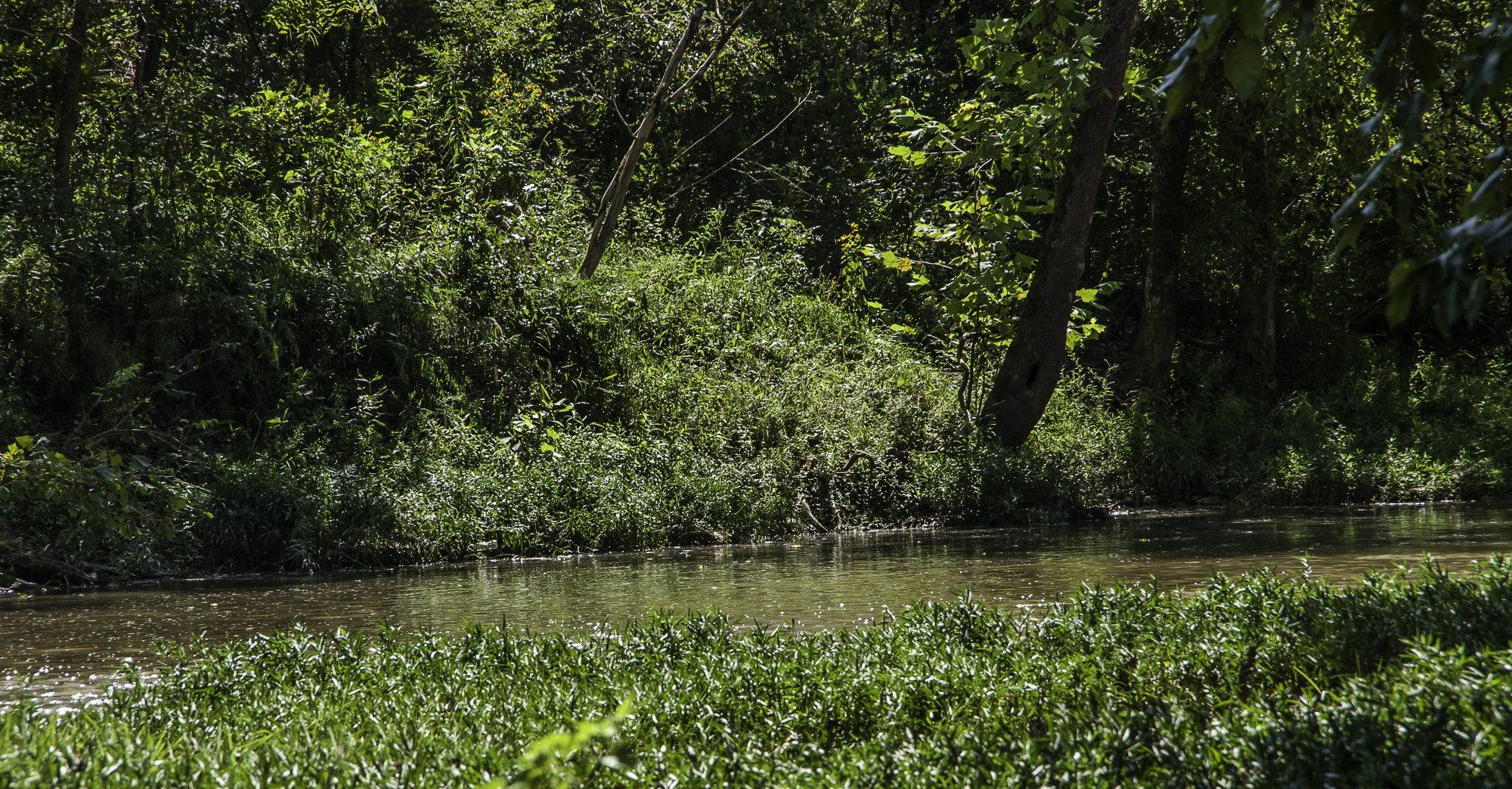 Pentax K20D sample photo. Parklands photography